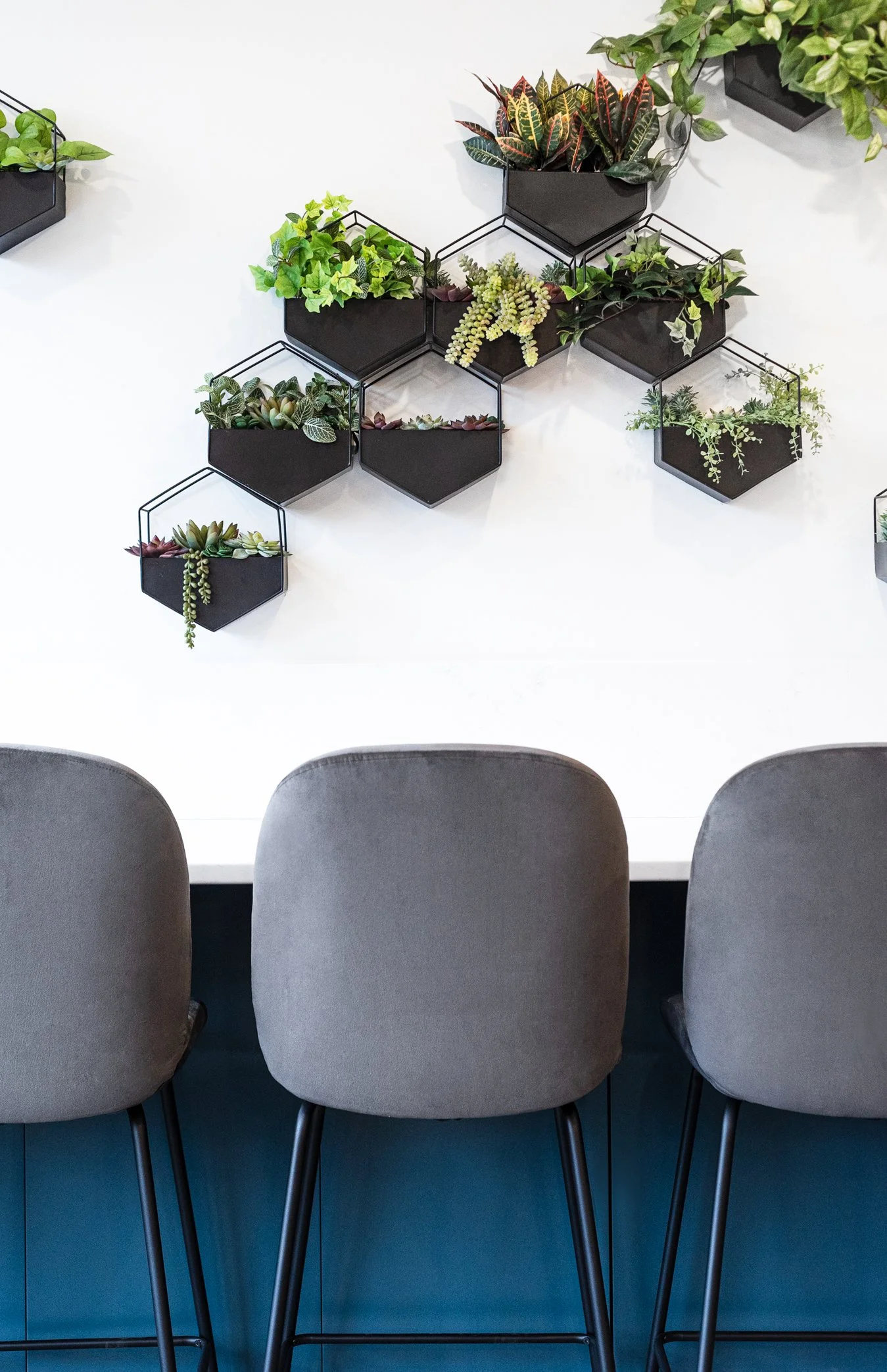 Wall decorated with black hexagonal planters filled with green and variegated plants, above a white table with three gray chairs.