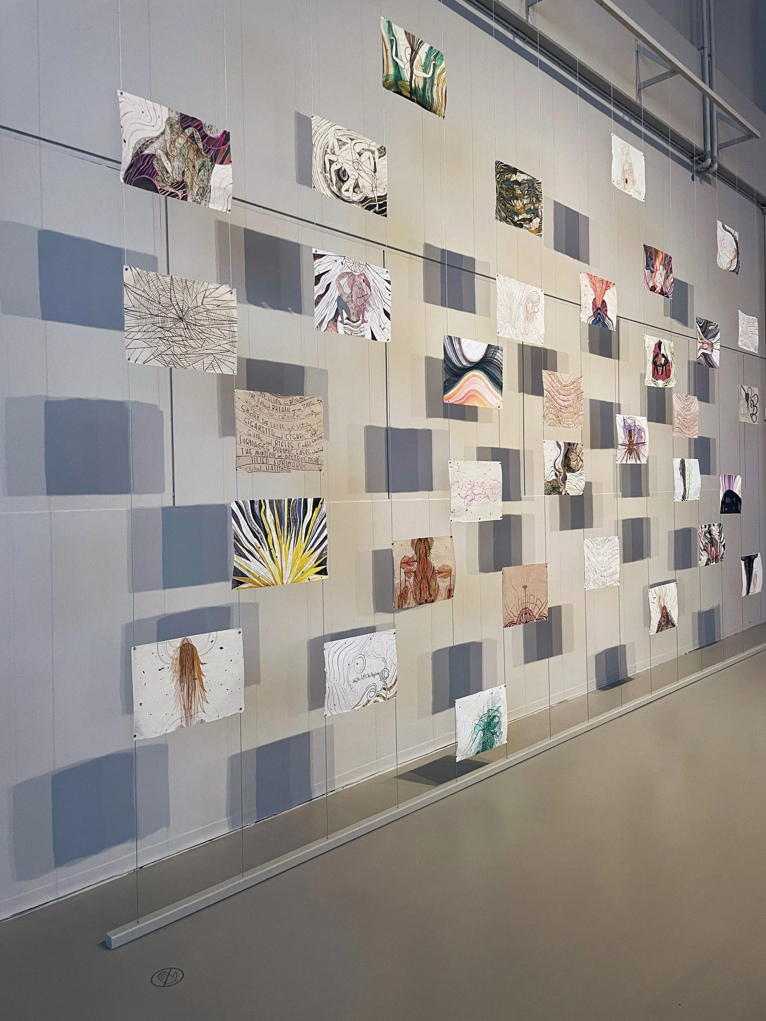 Gallery wall display of abstract and figurative drawings on paper, hanging with wires and shadows cast on the wall.