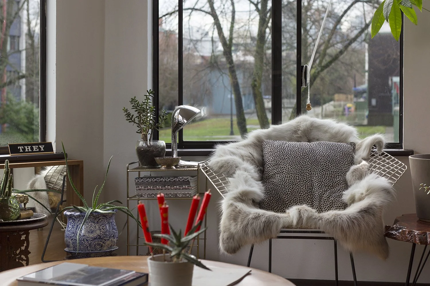 Cozy living room with a window seat, a fluffy white cat lounging on a chair with a polka dot pillow, various plants, a table with red pencils, and a magazine.