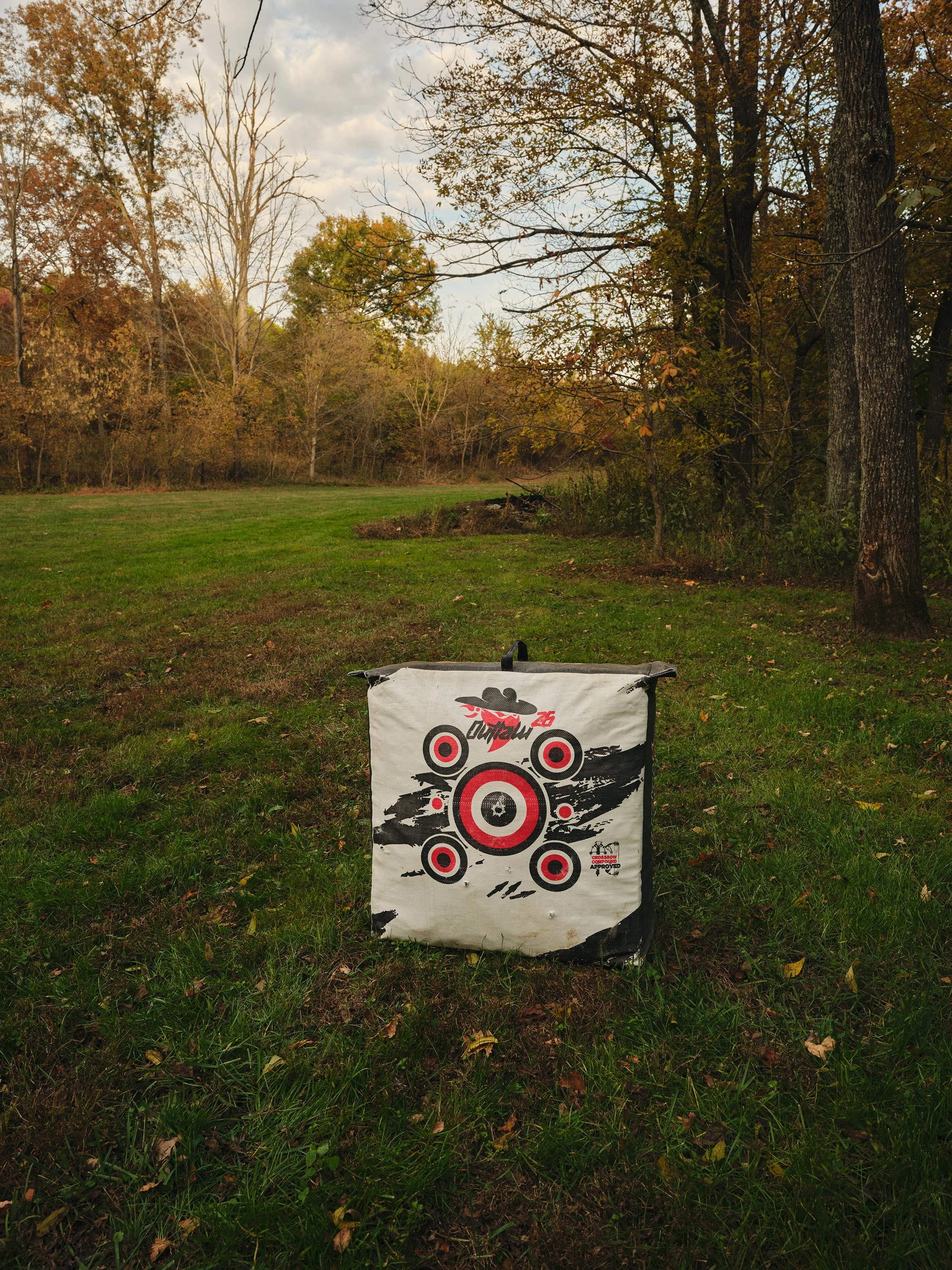 A black and white archery target bag with red and black concentric circles set on green grass in a park with trees and cloudy sky in the background.