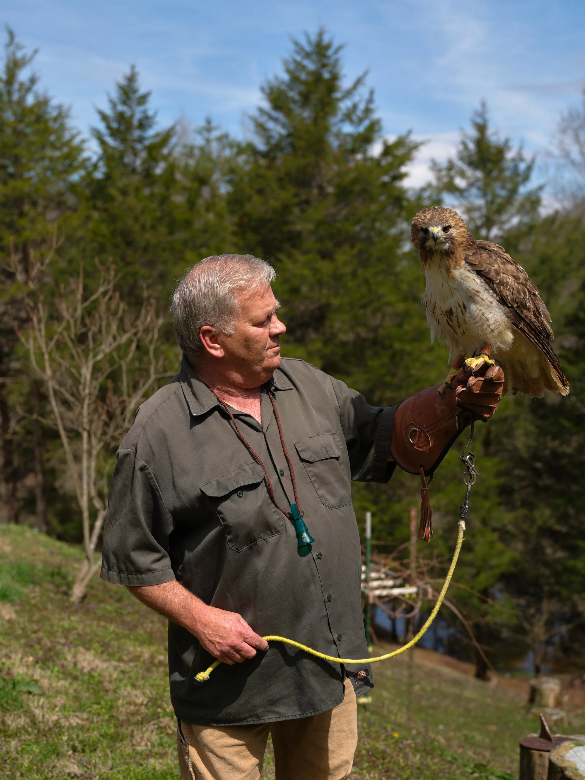 A man holding a hawk on his gloved hand outdoors in a natural setting with trees and a blue sky.