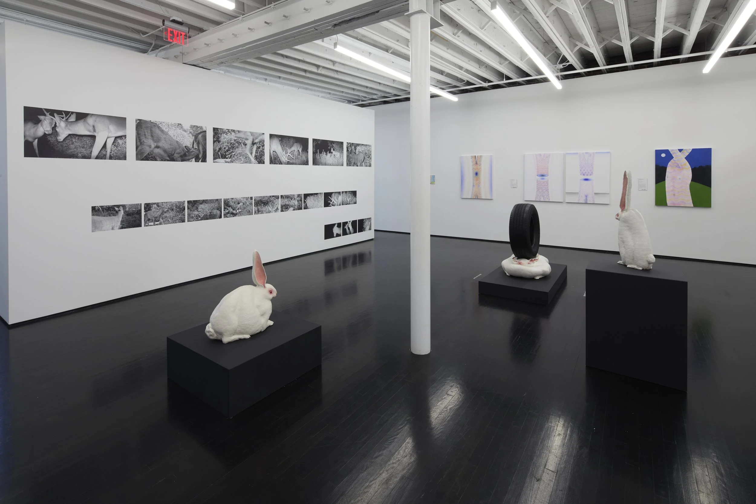 Image Credit: Ted Wathen | KMAC Contemporary Art Museum (Louisville, KY)