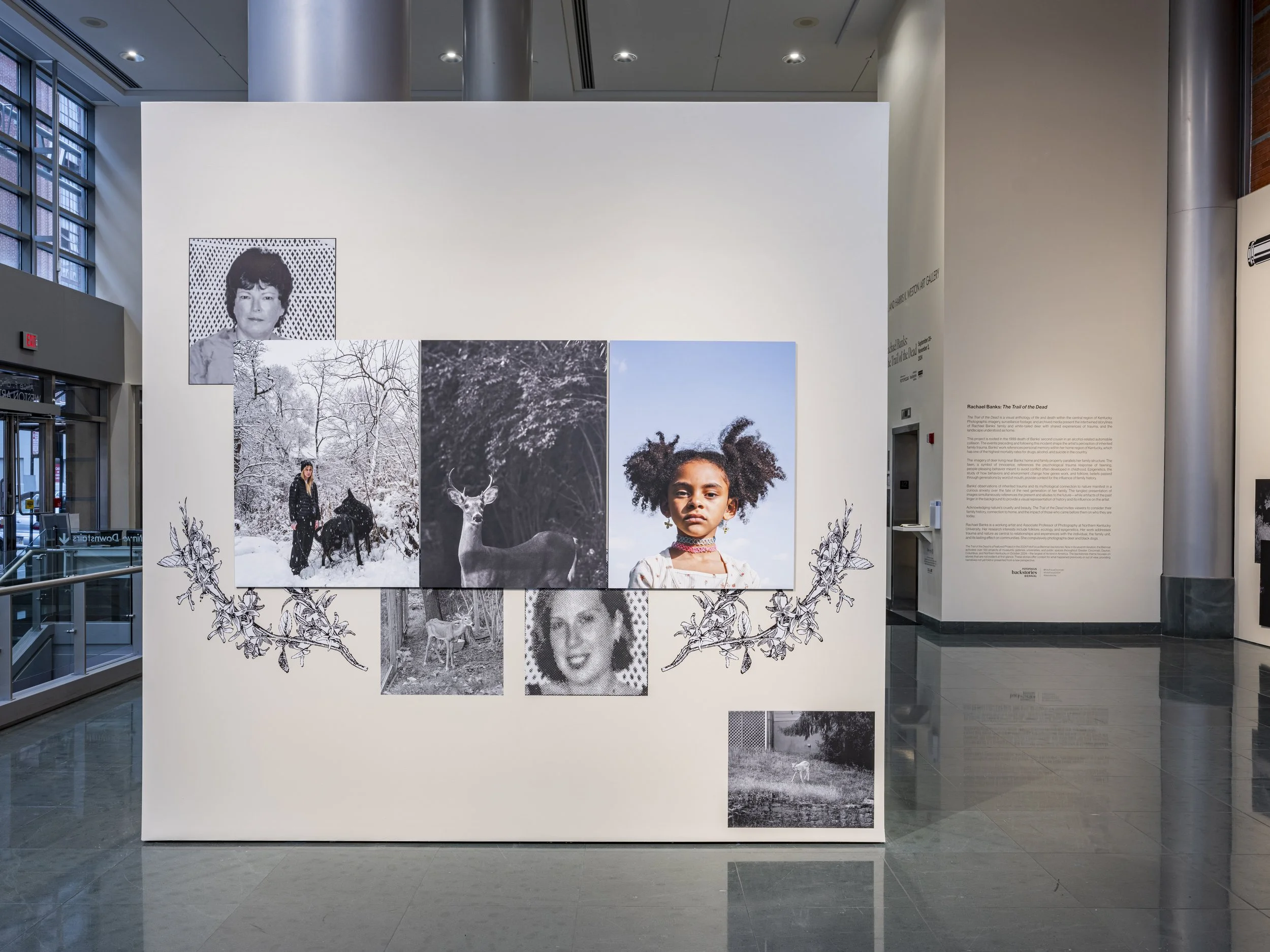Image Credit: Jesse Ly | The Weston Art Gallery (Cincinnati, OH)