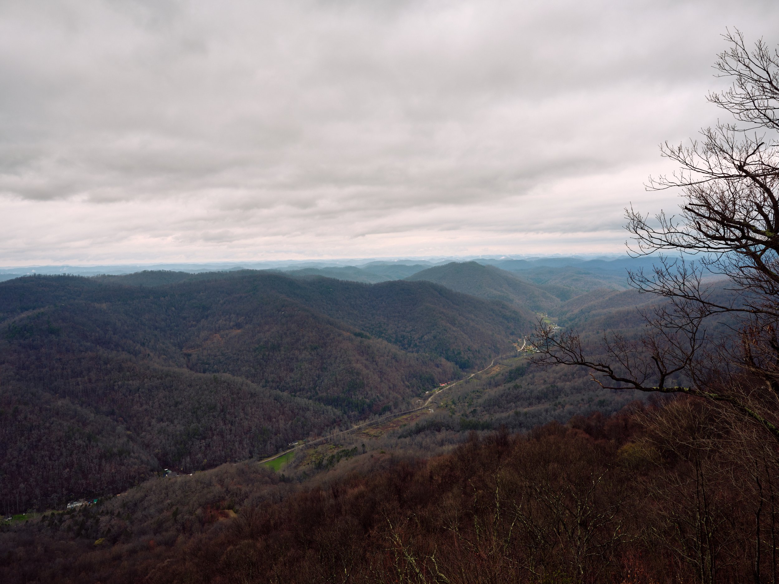 A panoramic view of rolling mountain ranges under a cloudy sky, with some leafless trees in the foreground and a winding road or trail in the valley.
