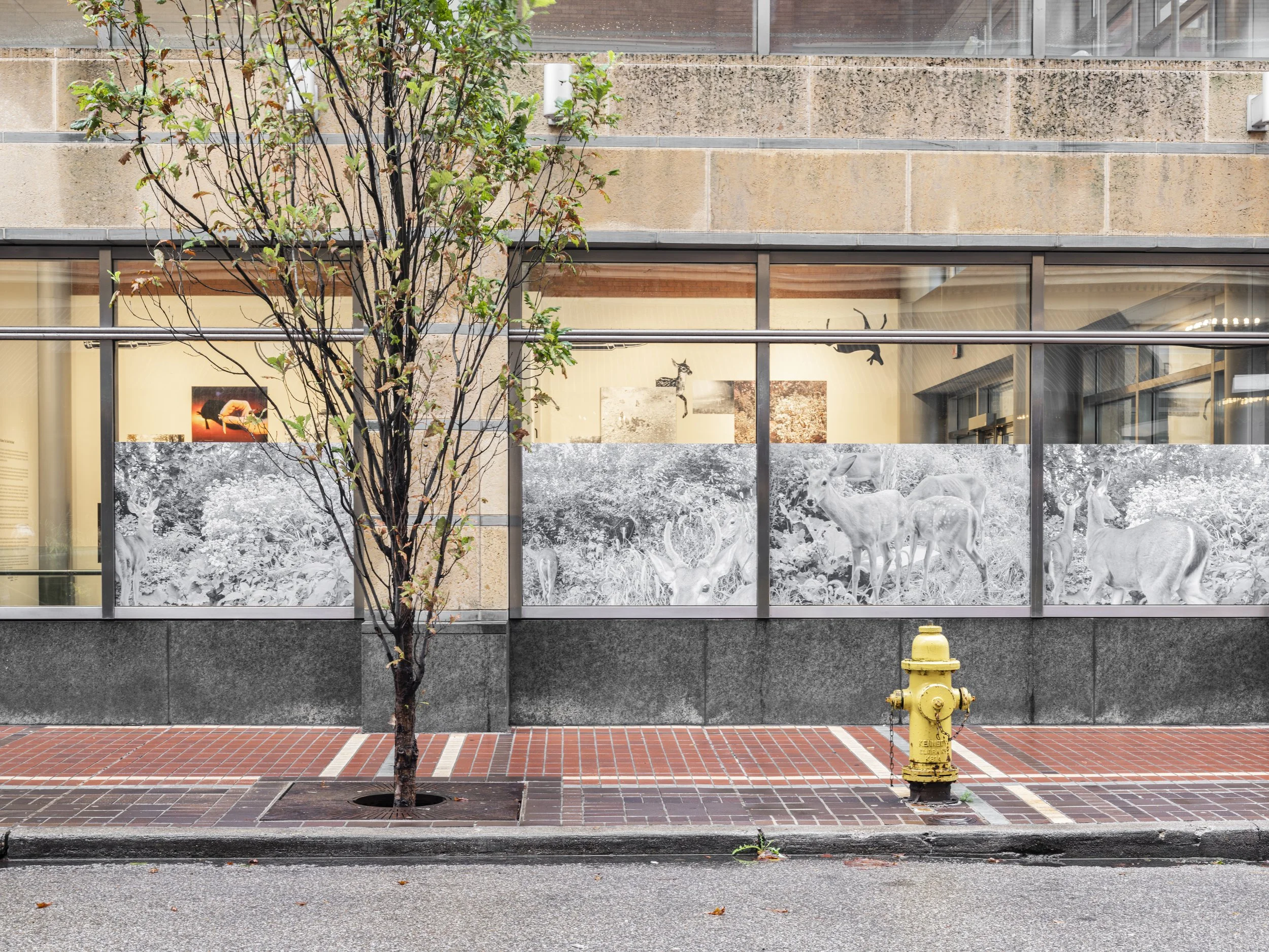 Image Credit: Jesse Ly | The Weston Art Gallery (Cincinnati, OH)