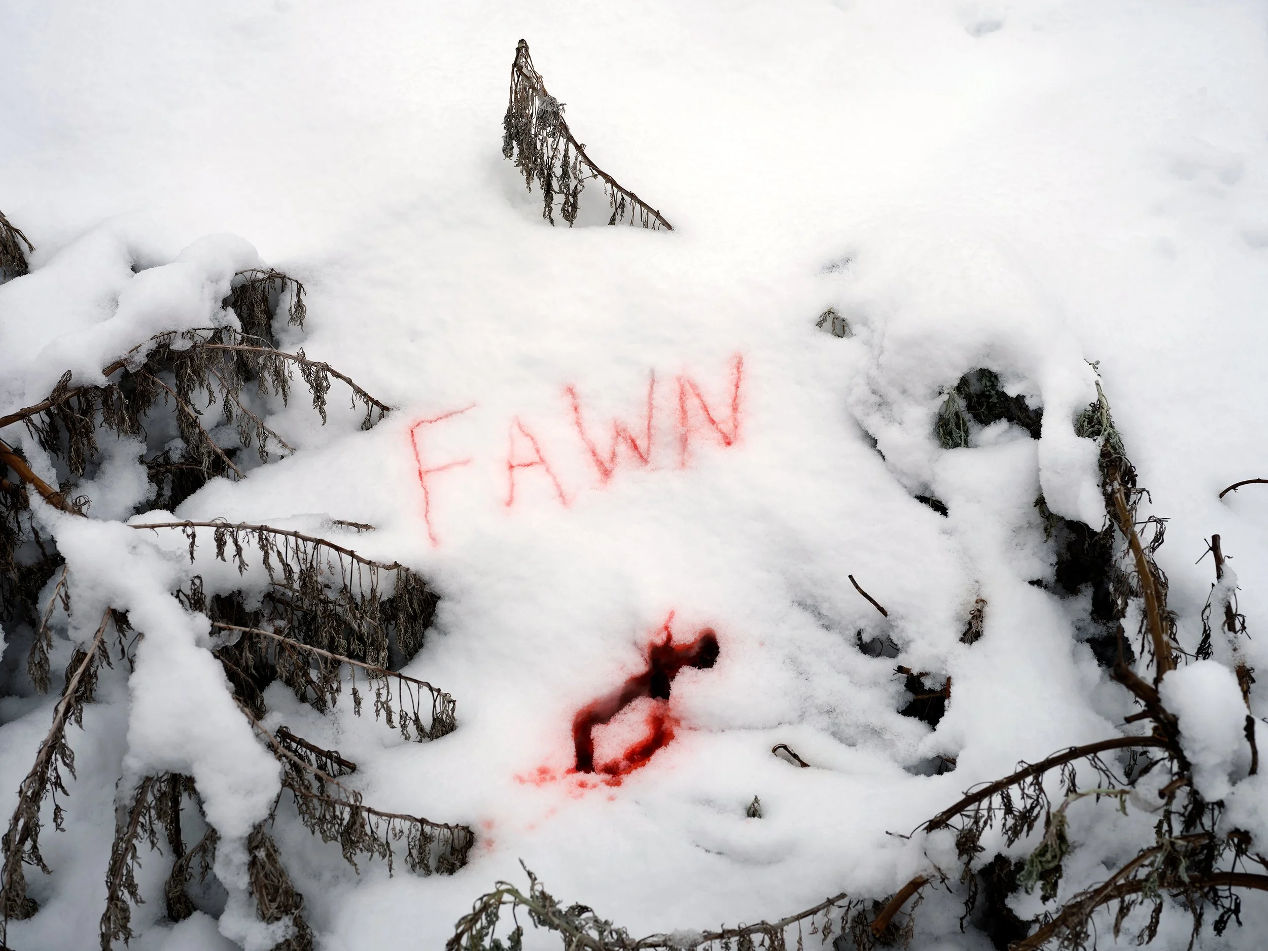 Snow-covered ground with a red spray-painted word 'FAWN' and a small red blood-like smear. Dead branches stick out from the snow.