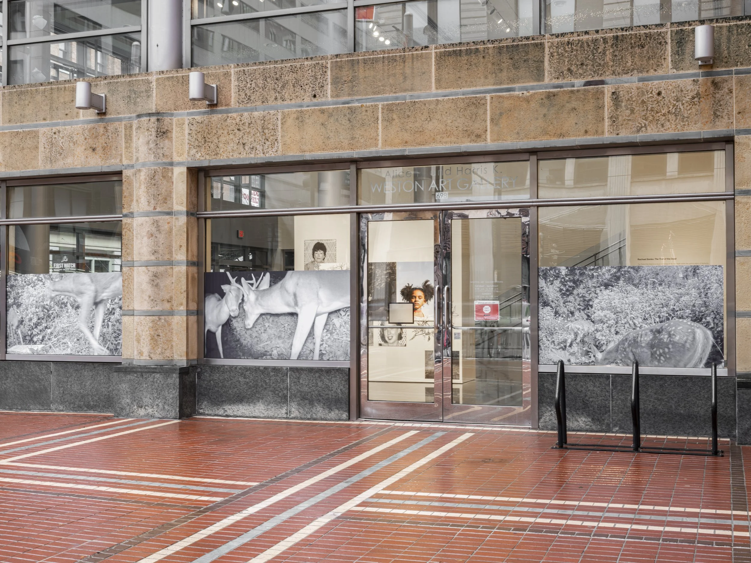 Image Credit: Jesse Ly | The Weston Art Gallery (Cincinnati, OH)
