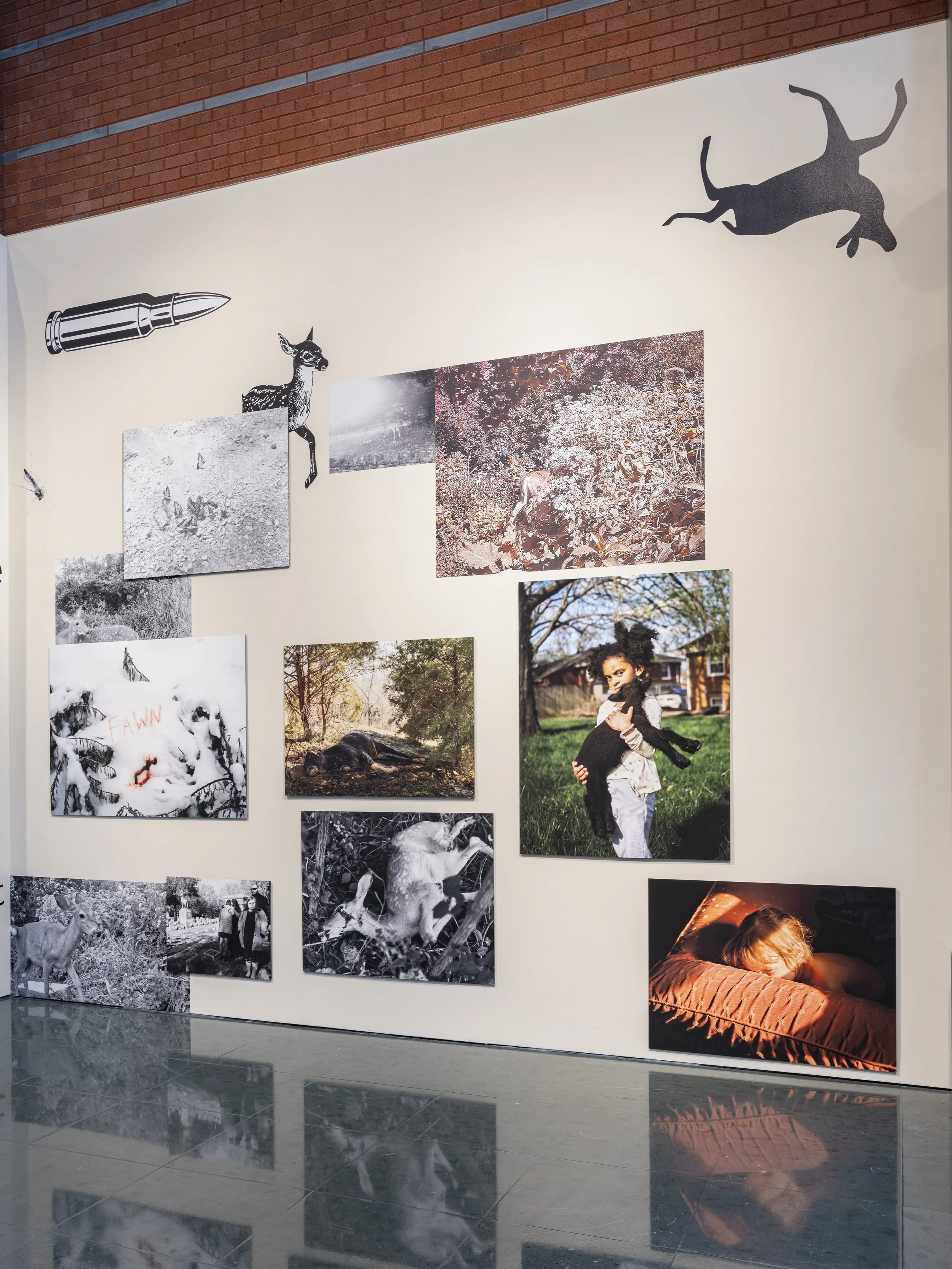 Image Credit: Jesse Ly | The Weston Art Gallery (Cincinnati, OH)
