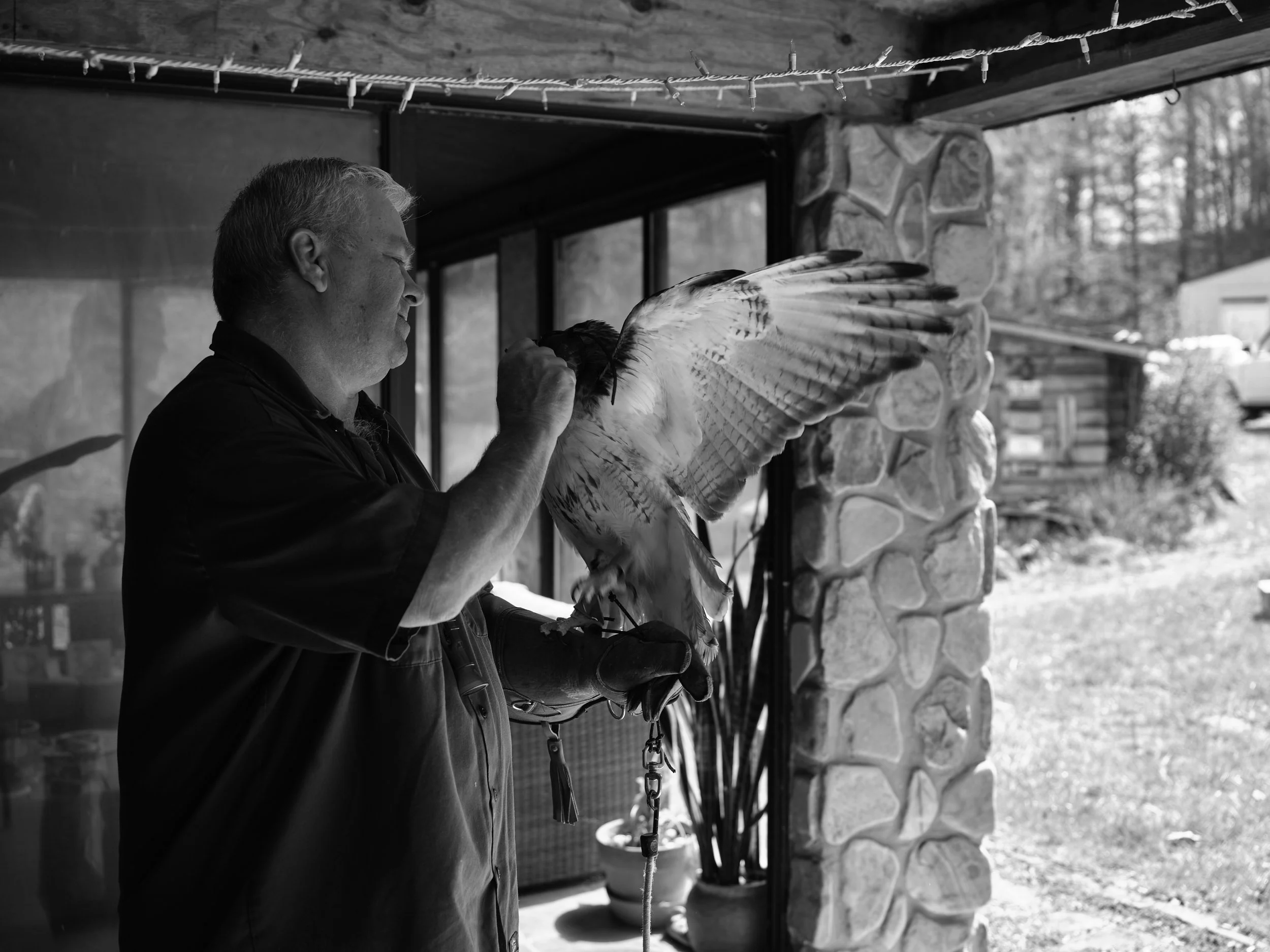 A man holding a hawk.