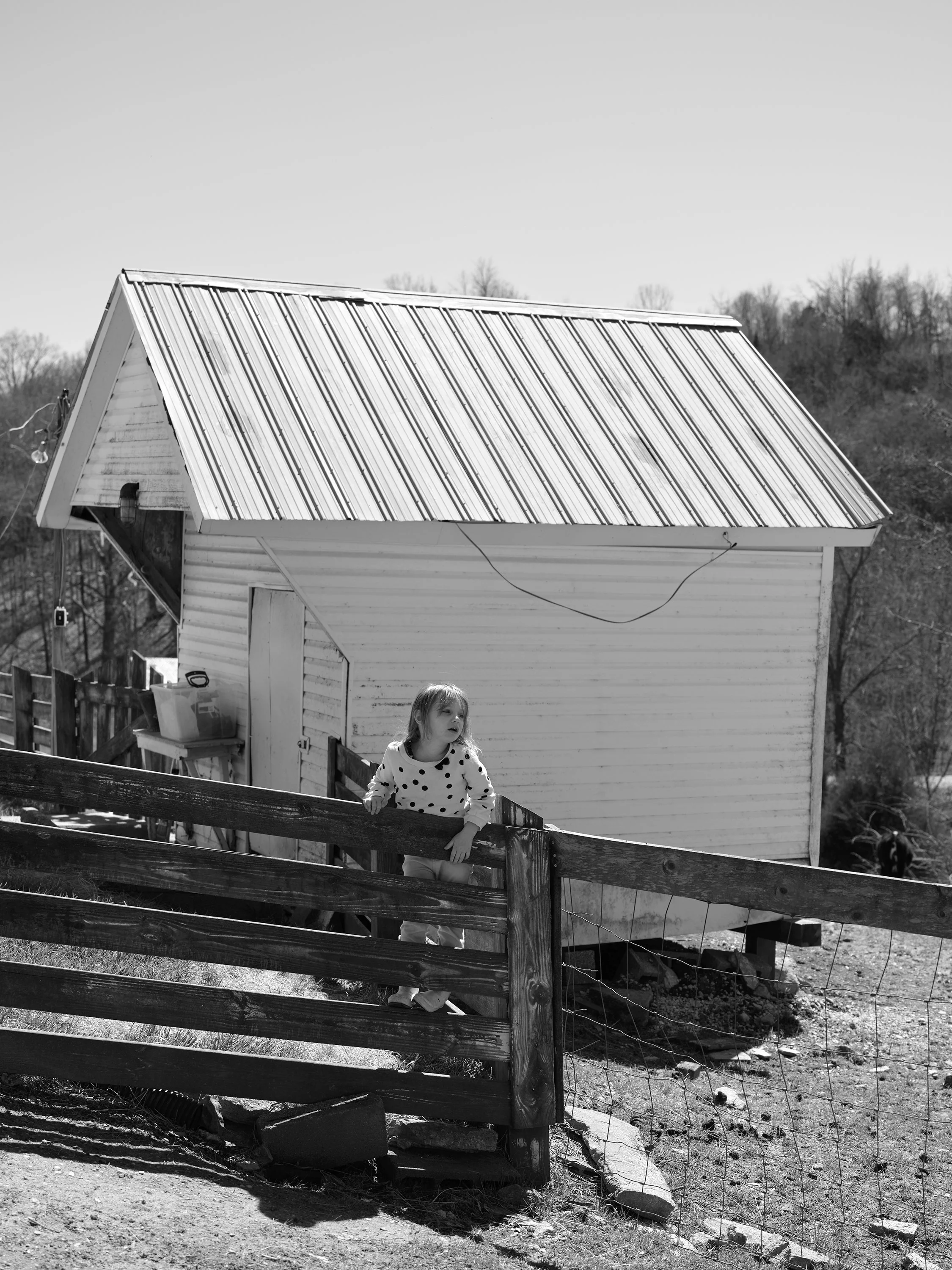 A young girl with a polka dot shirt stands by a wooden fence in front of a small, white, weathered house with a metal roof.