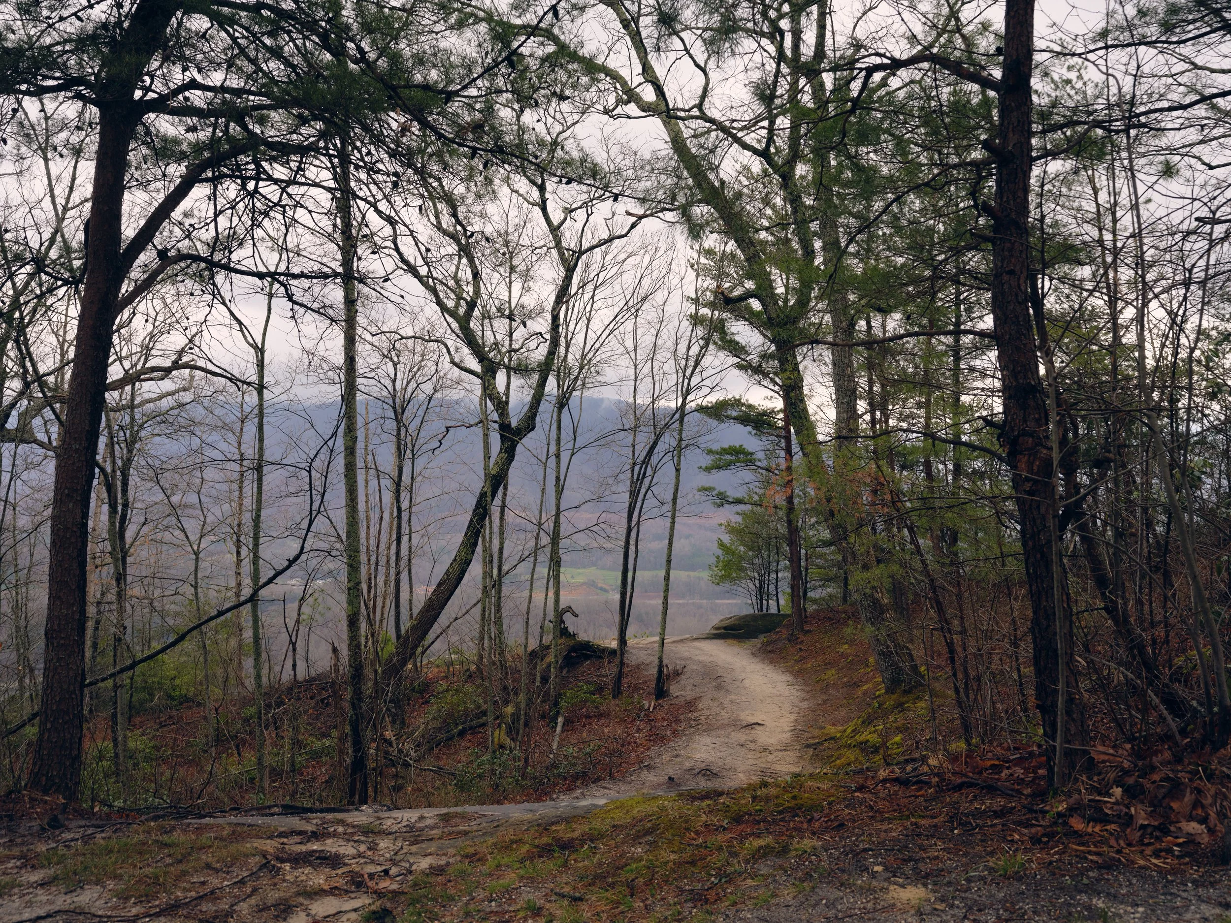 A dirt trail winds through a forest with tall, leafless trees on a cloudy day, overlooking a distant mountain range.