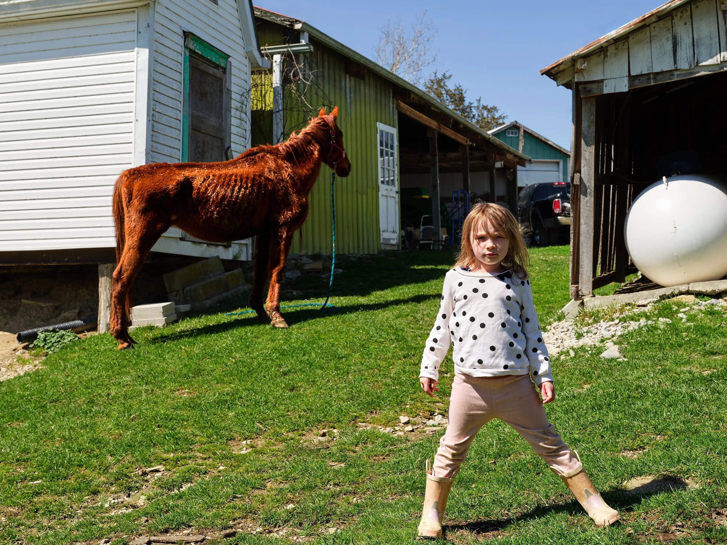 A young girl in a white polka dot sweater and beige pants with rolled-up cuffs stands with legs apart on a green lawn, with a brown horse tied to a building in the background, and a white propane tank in a shed. The scene is outdoors on a sunny day.