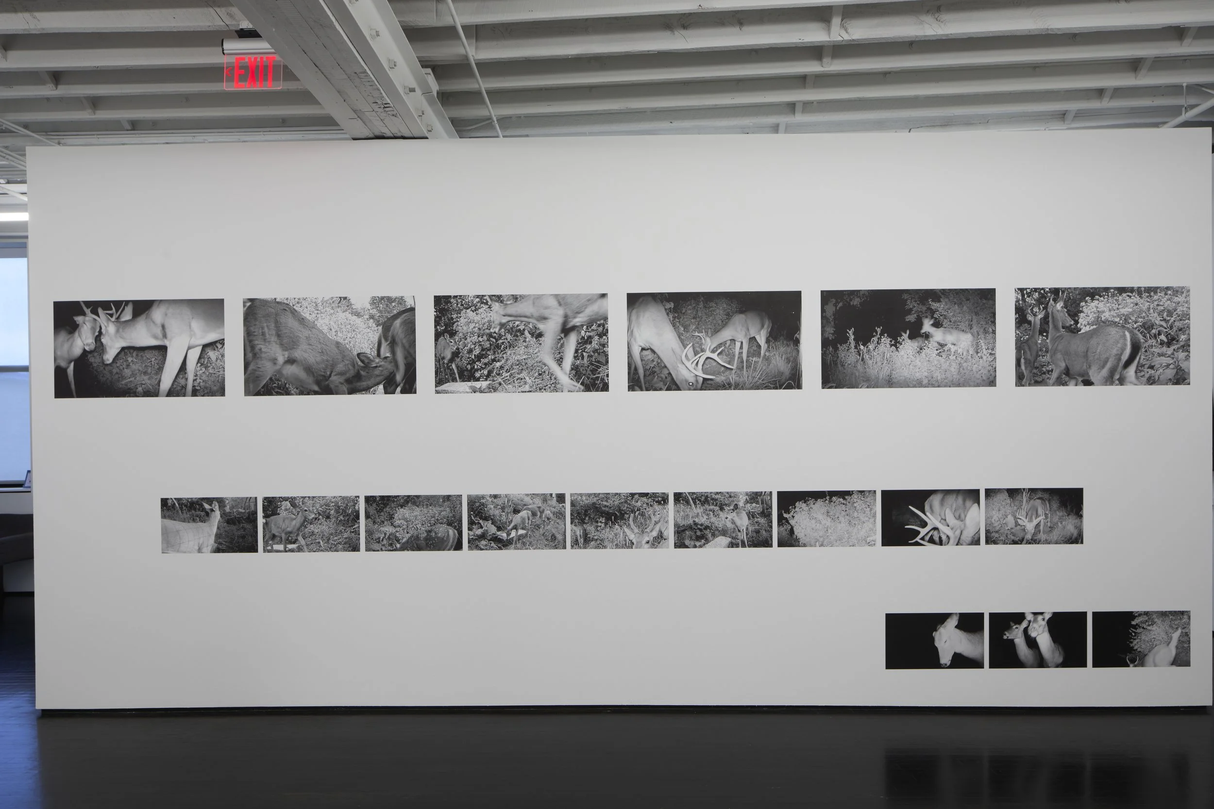 Image Credit: Ted Wathen | KMAC Contemporary Art Museum (Louisville, KY)