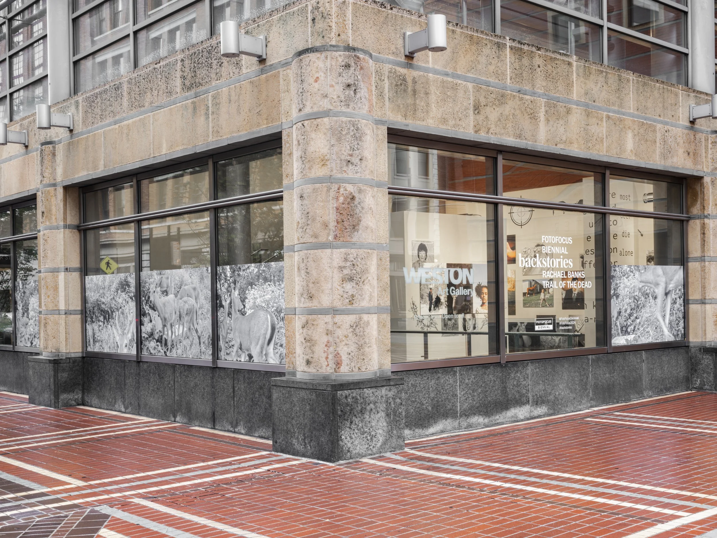 Image Credit: Jesse Ly | The Weston Art Gallery (Cincinnati, OH)