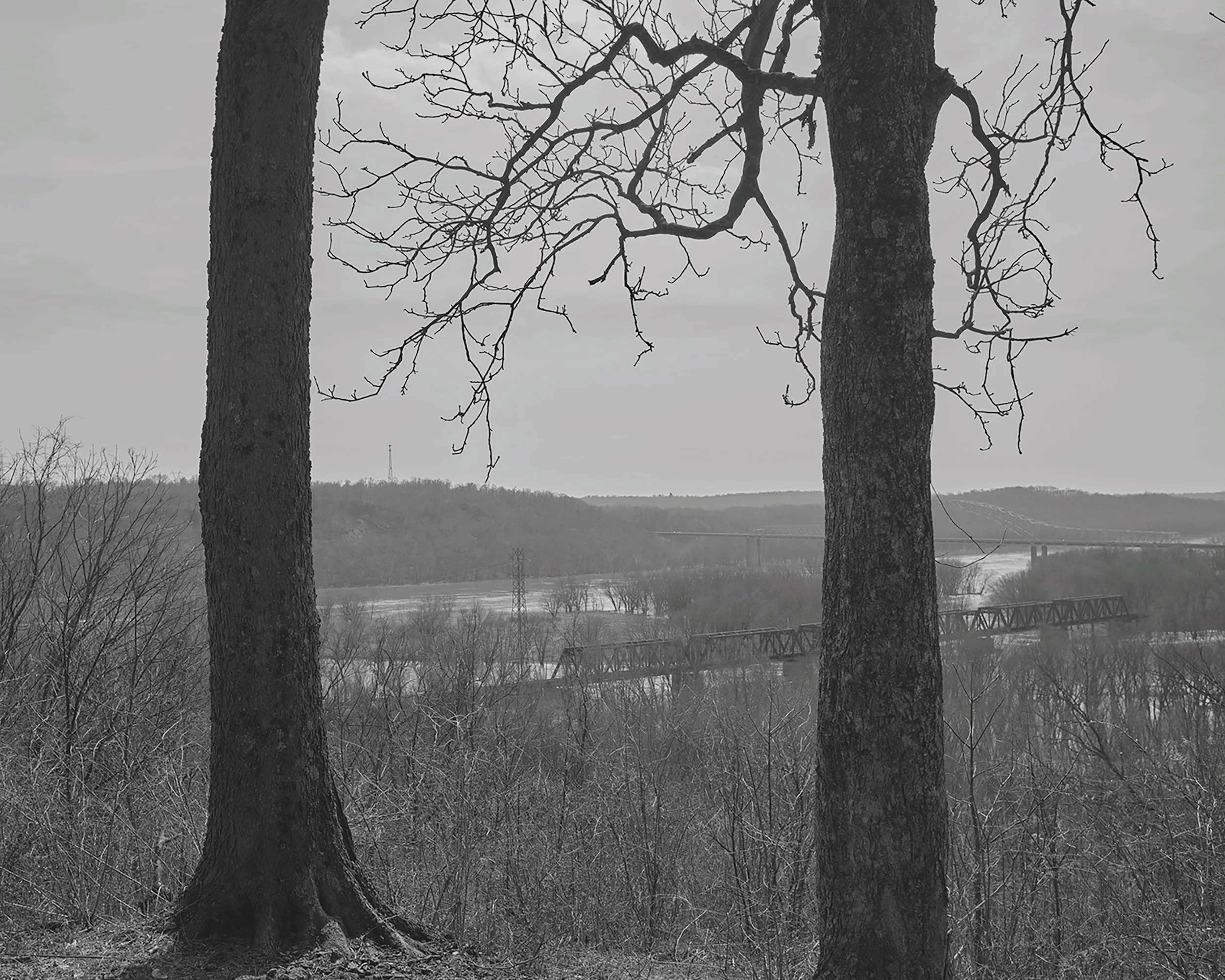 Two large bare trees with thick trunks in the foreground, a river and hills in the background, with a bridge crossing the river, and an overcast sky.