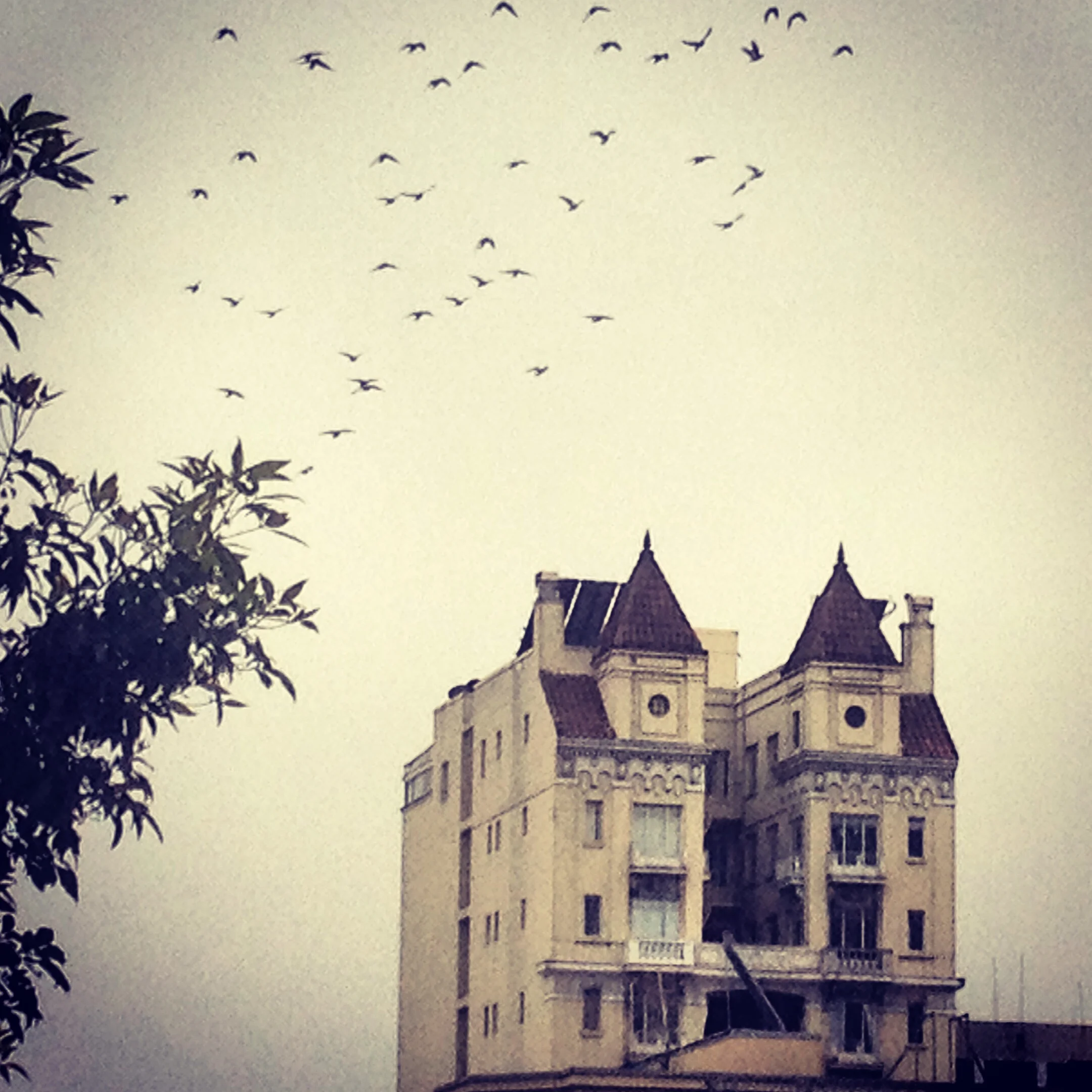 #ThatsSoSF: The City in Pictures