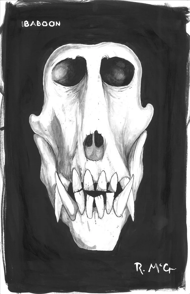 Welcome from the Editor