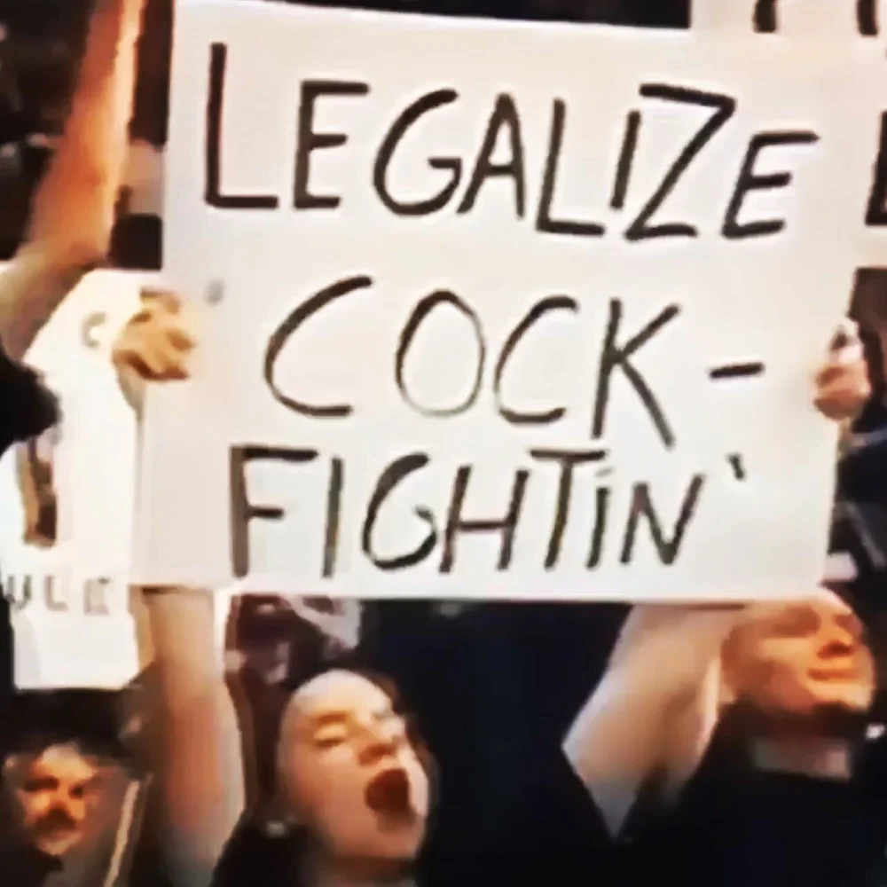 They want you to keep talking about Will Smith so you don&rsquo;t talk about issues that really matter.