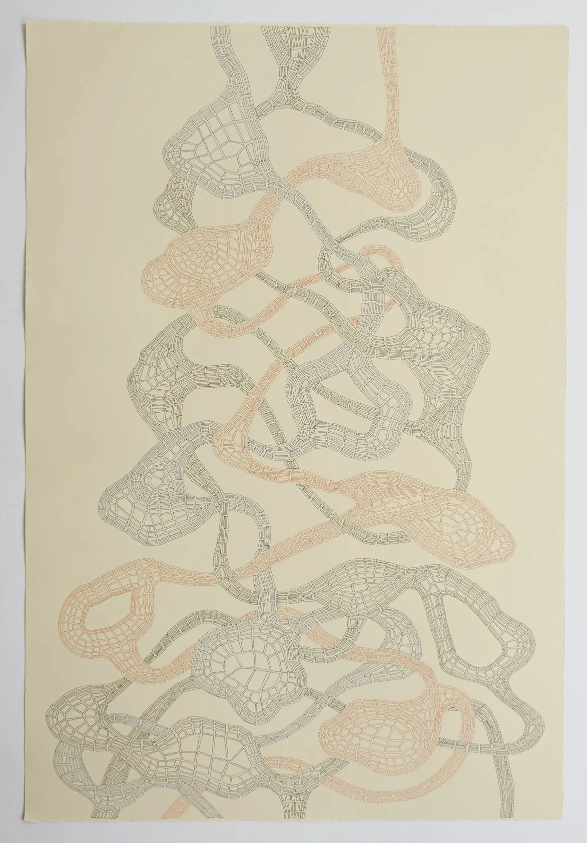 Untitled (Tied up), 2013