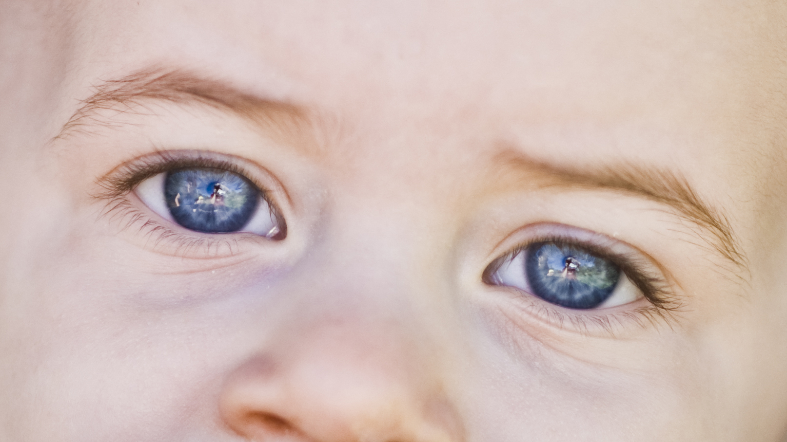 2015 Apples and Pumpkins Amber in eyes.jpg