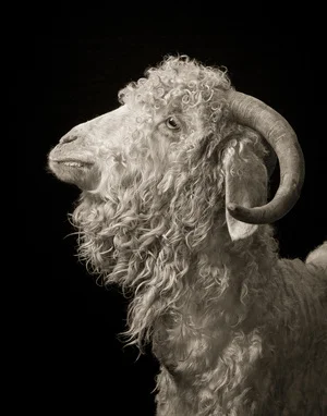 Pictura Gallery , Bloomington, Indiana, through July 29