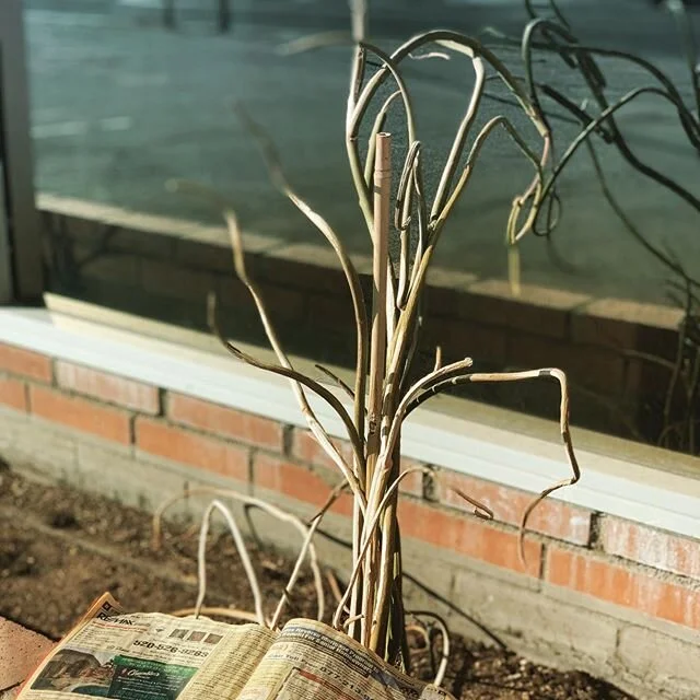 &ldquo;Through the ruins, trying to save it
'For I fall out, show me somehow I can make it