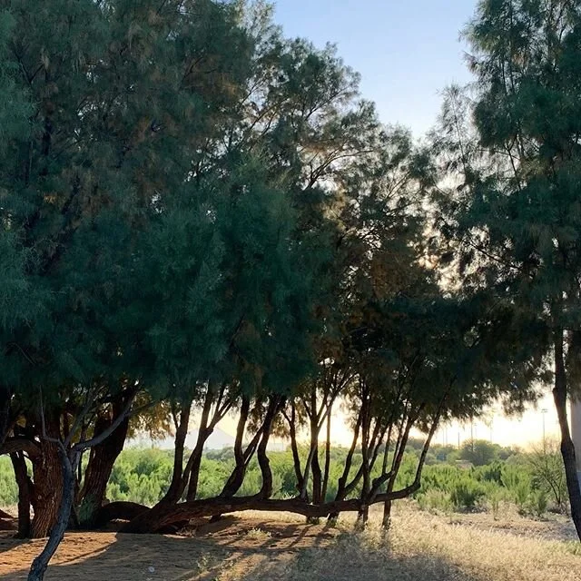 &ldquo;We sing of what we think we know
Mother, father, skin and flowers
And we move just like the bird
Moving amidst the other birds&rdquo;