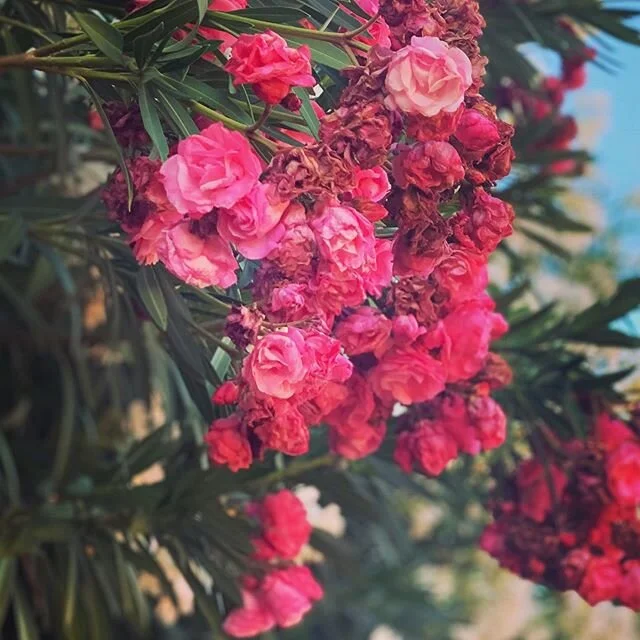 &ldquo;Heartache ends
Heartache ends
Heartache ends
And begins again&rdquo;