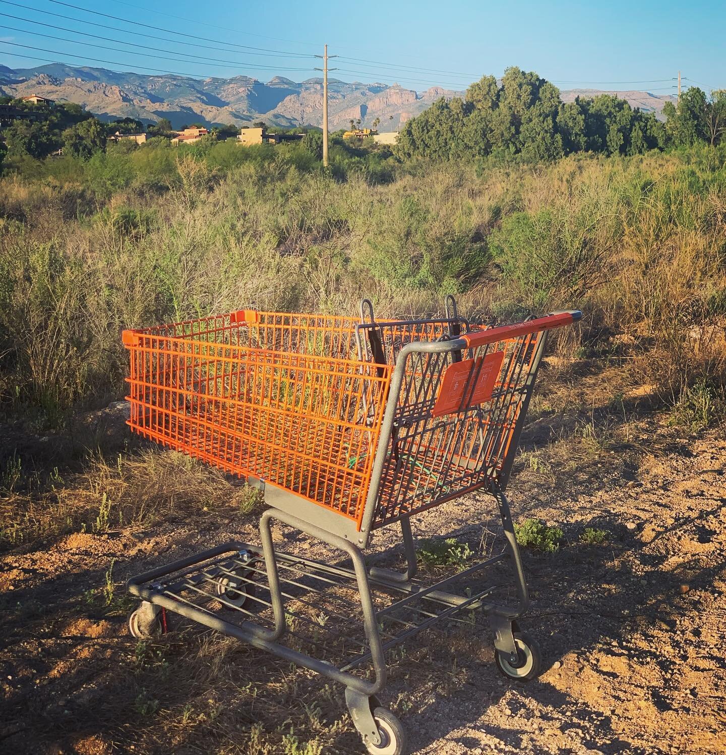 My god, I just love this time of year when the shopping carts are in bloom again.