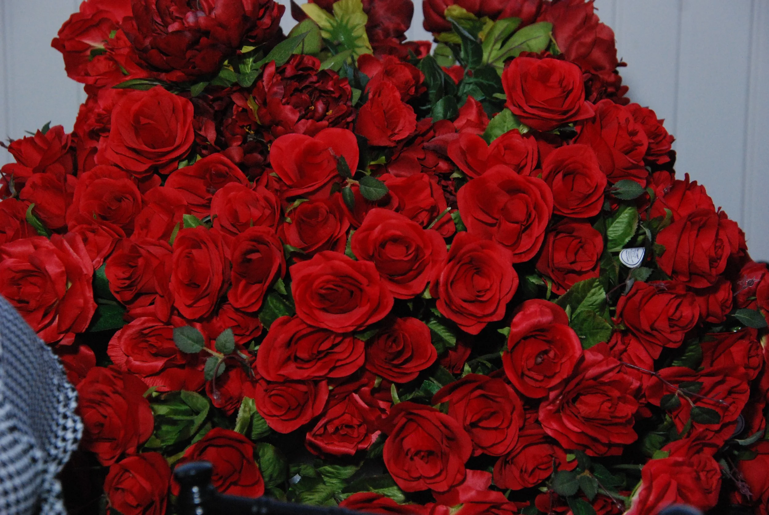 DSC_0974.JPG