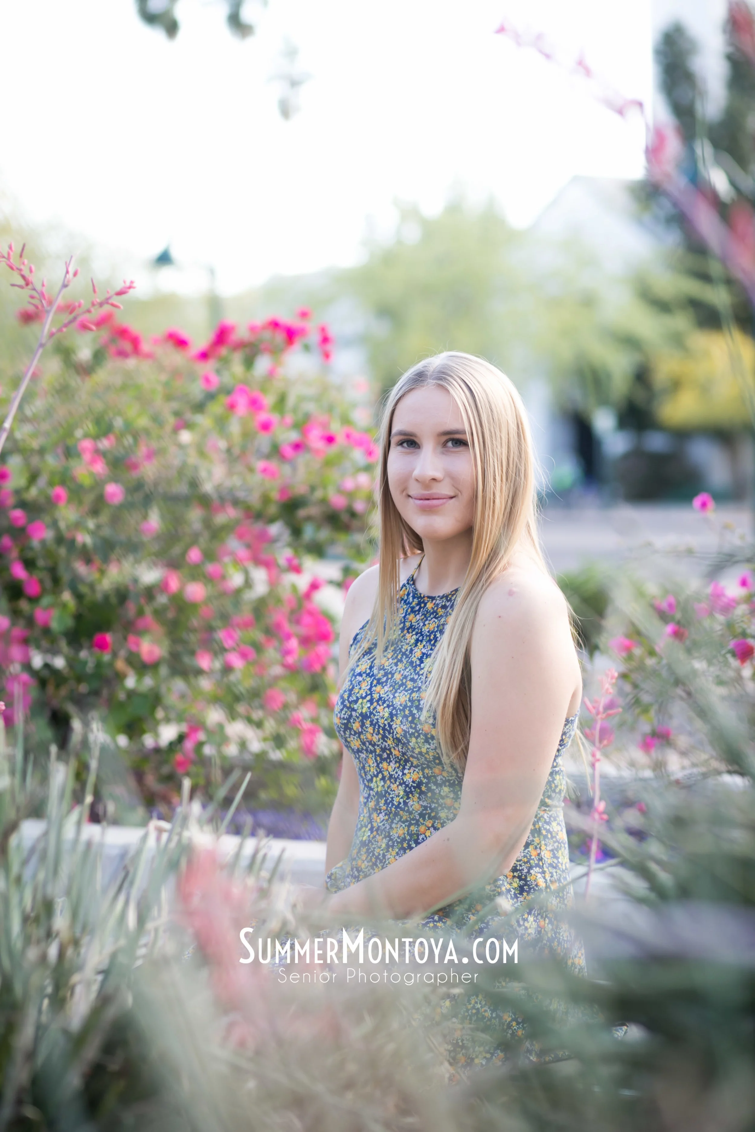 Riley | Williams Field High School