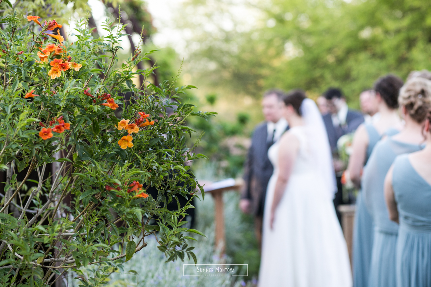 Phoenix wedding at the Desert Botanical Gardens-1
