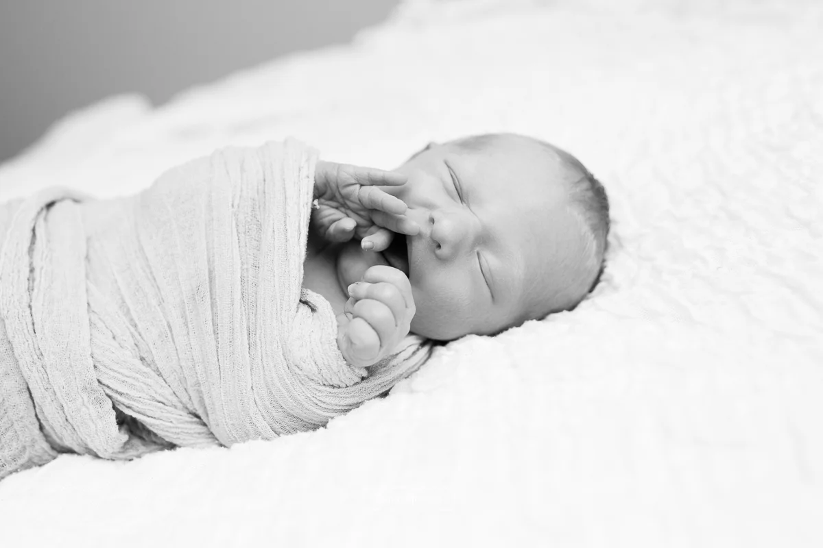 Gilbert newborn photographer 