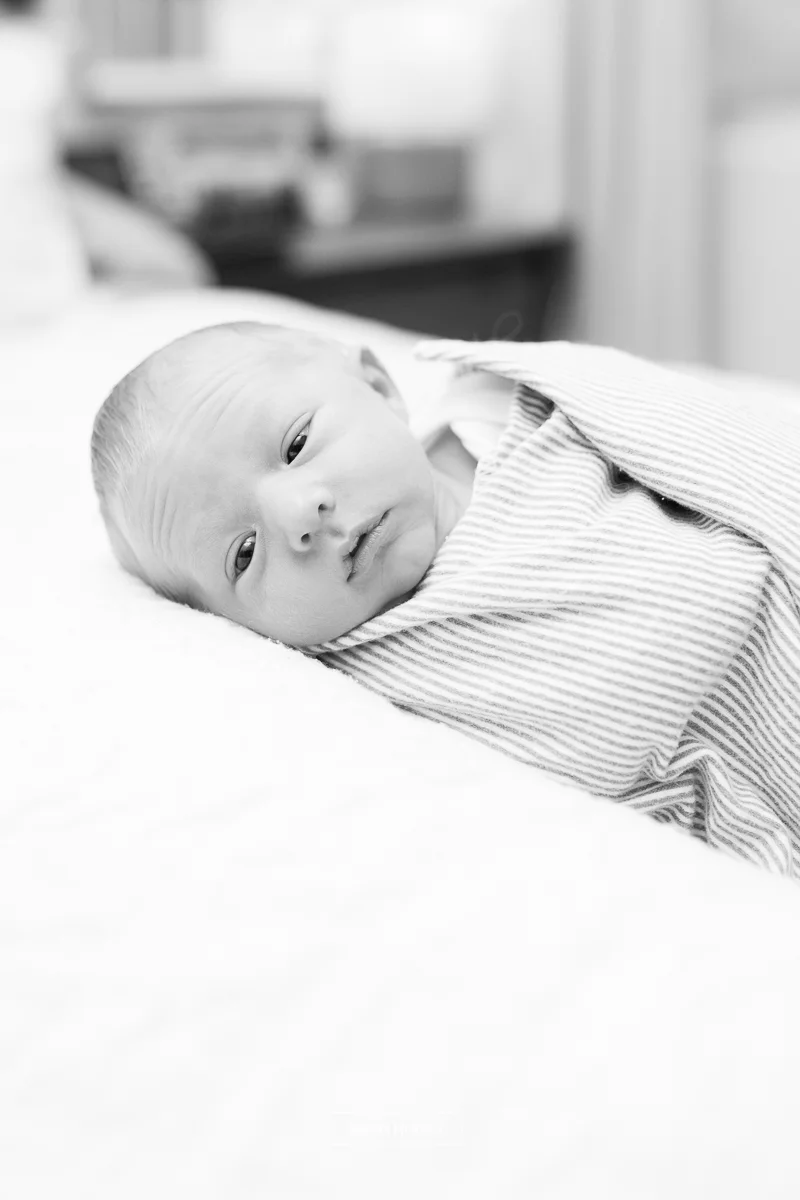 Gilbert newborn photographer 