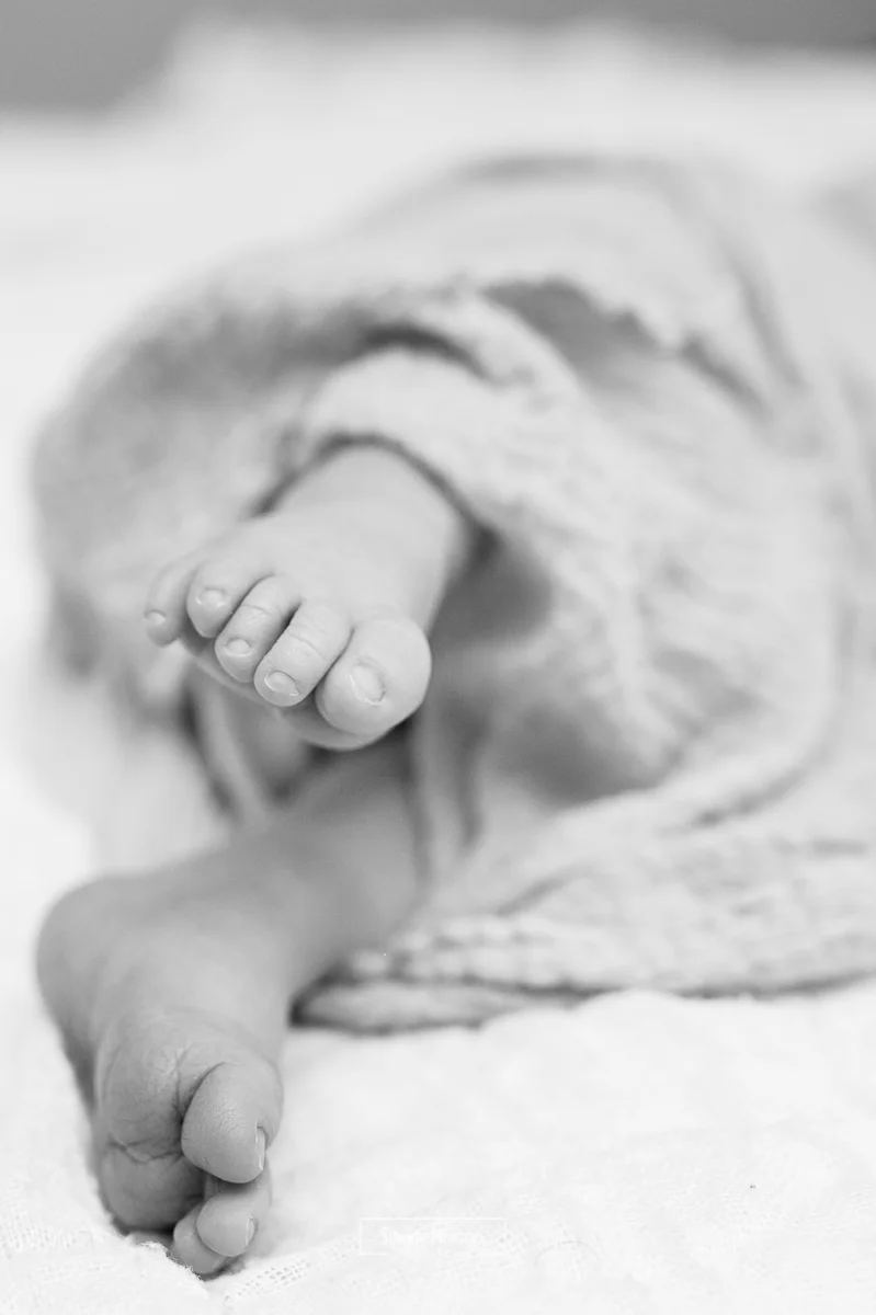 Gilbert newborn photographer 