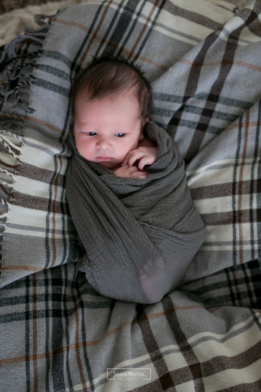 6month-baby-photo (6 of 46).jpg