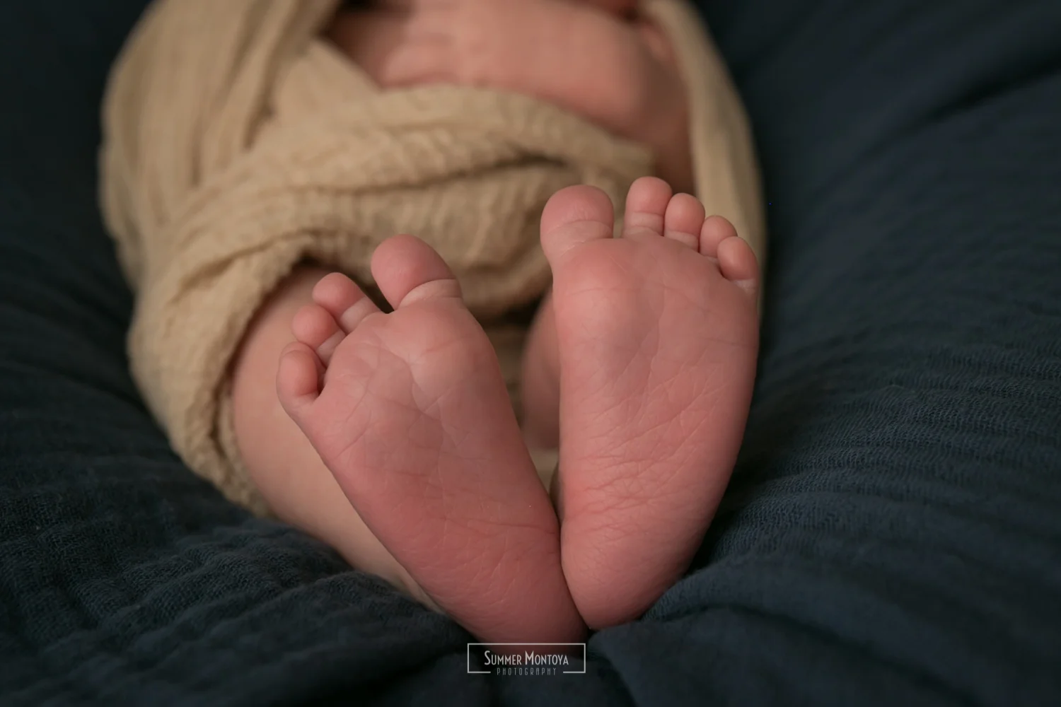 6month-baby-photo (34 of 46).jpg
