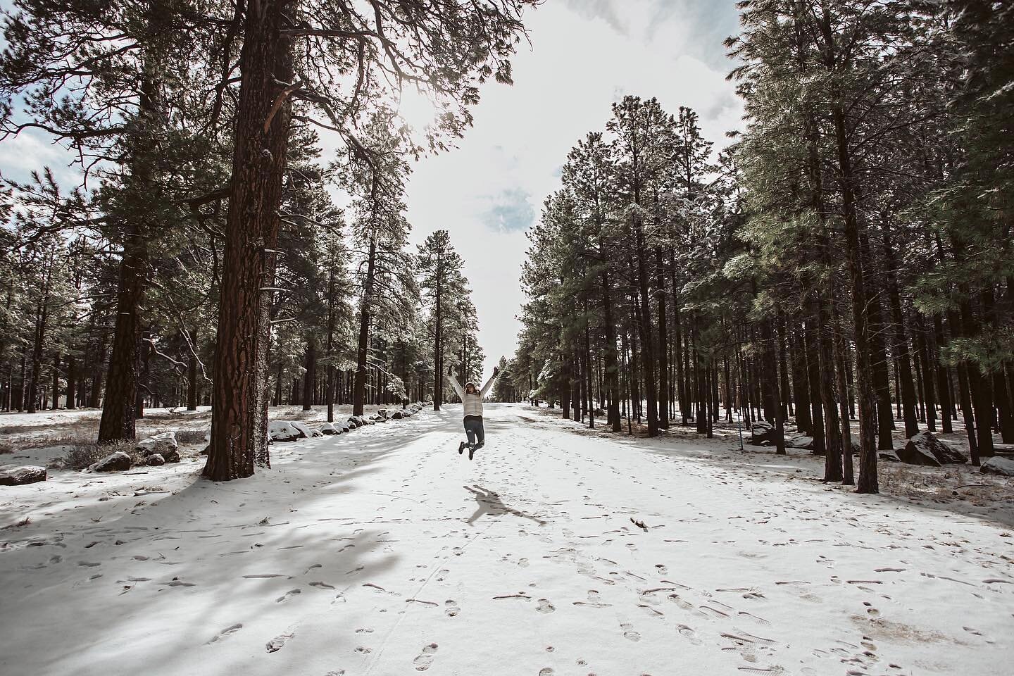 Its happening...family sessions in Flagstaff!! ❄️❄️❄️
Info &amp; booking at www.summermontoya.com {in bio}

.
.
.
.
.
.
.
#summermontoyaphotography
#flagstaffarizona #flagstafffamilyphotos 
#flagstaffphotography 
#gilbert #gilbertfamilies #familyphot