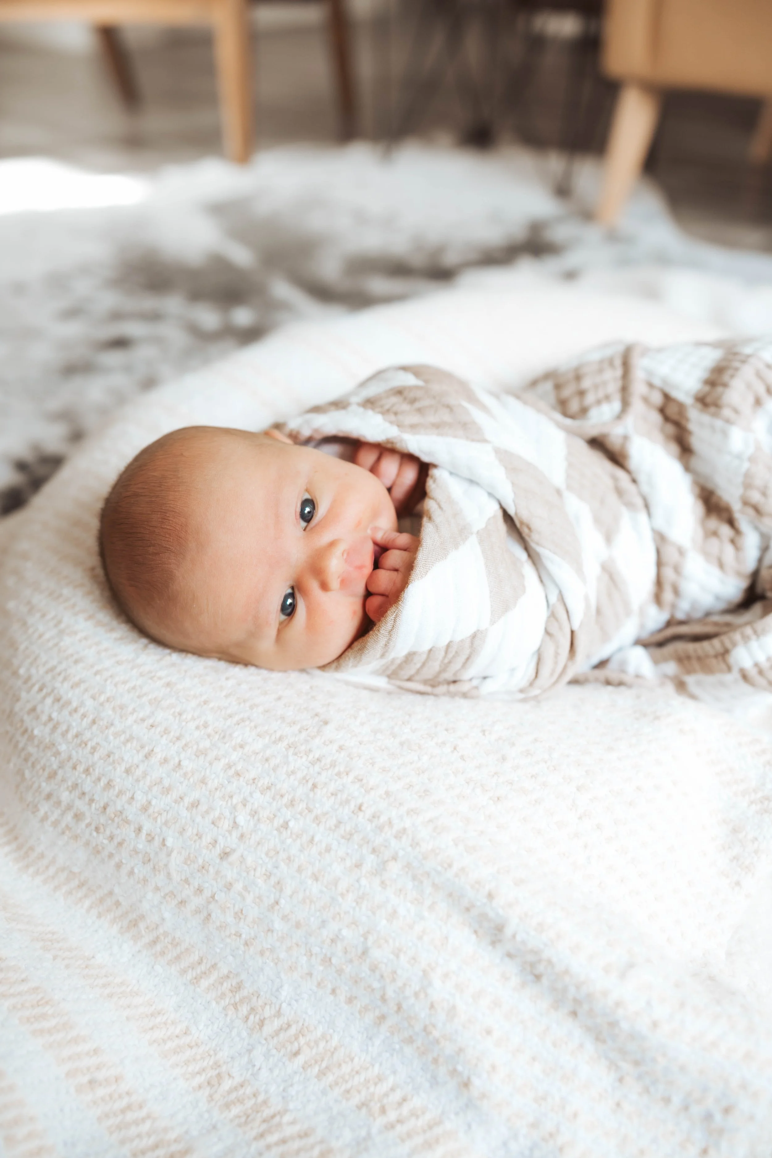 klepper-newborn-gilbert-13.jpg