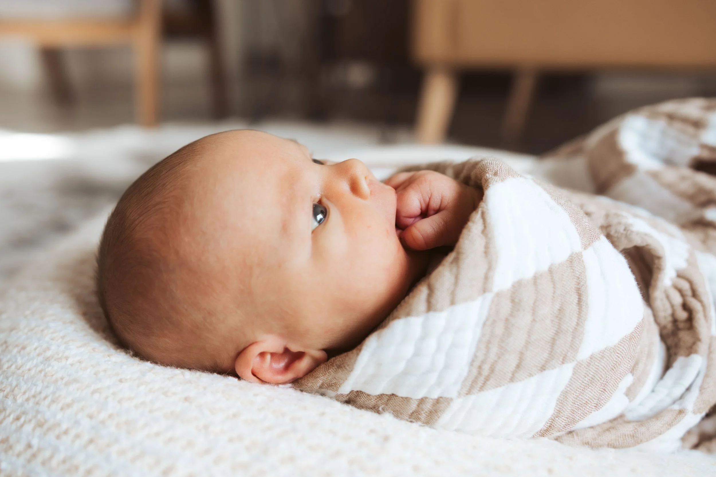 klepper-newborn-gilbert-14.jpg
