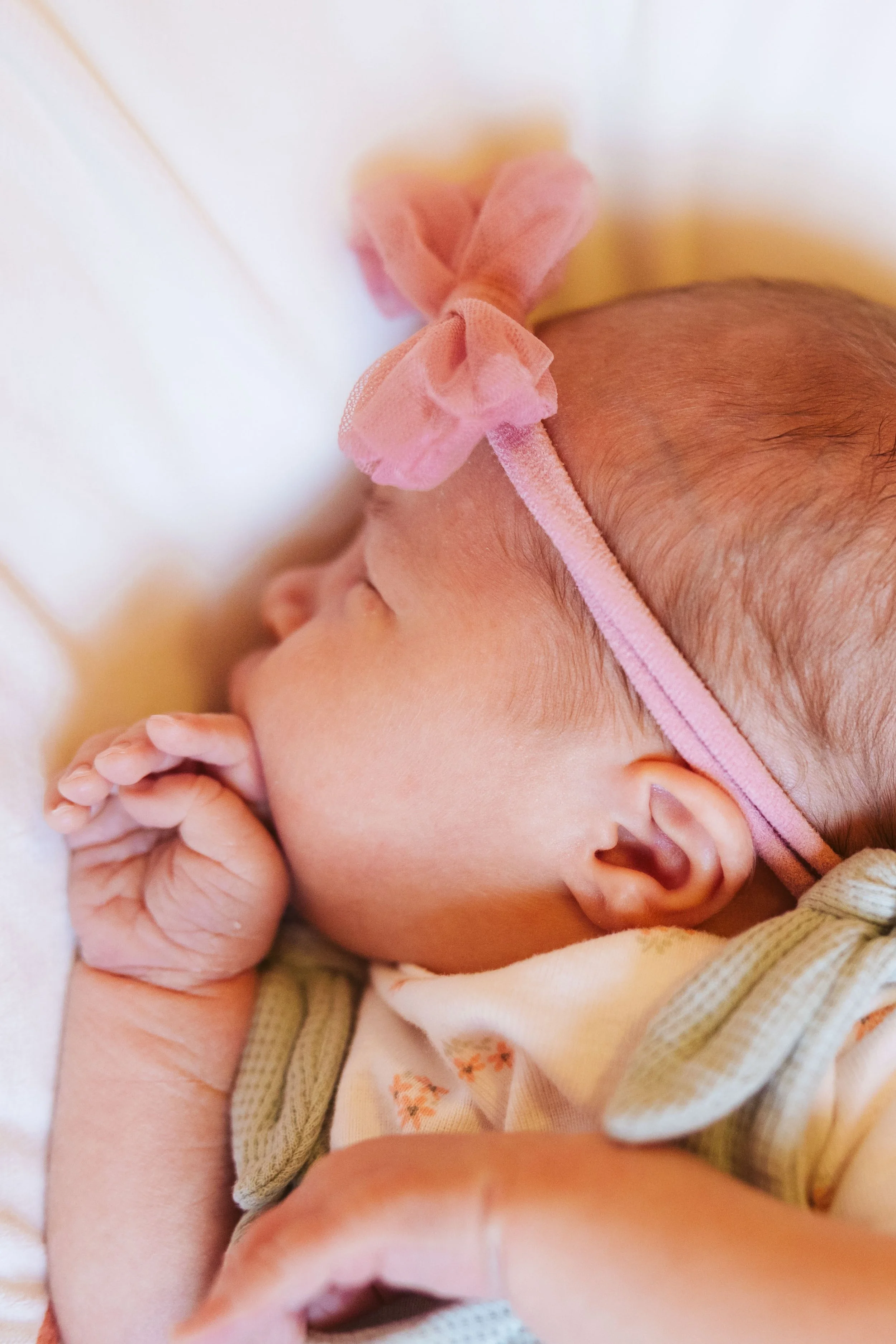 kocmoud-familuy-newborn-gilbert-17.jpg