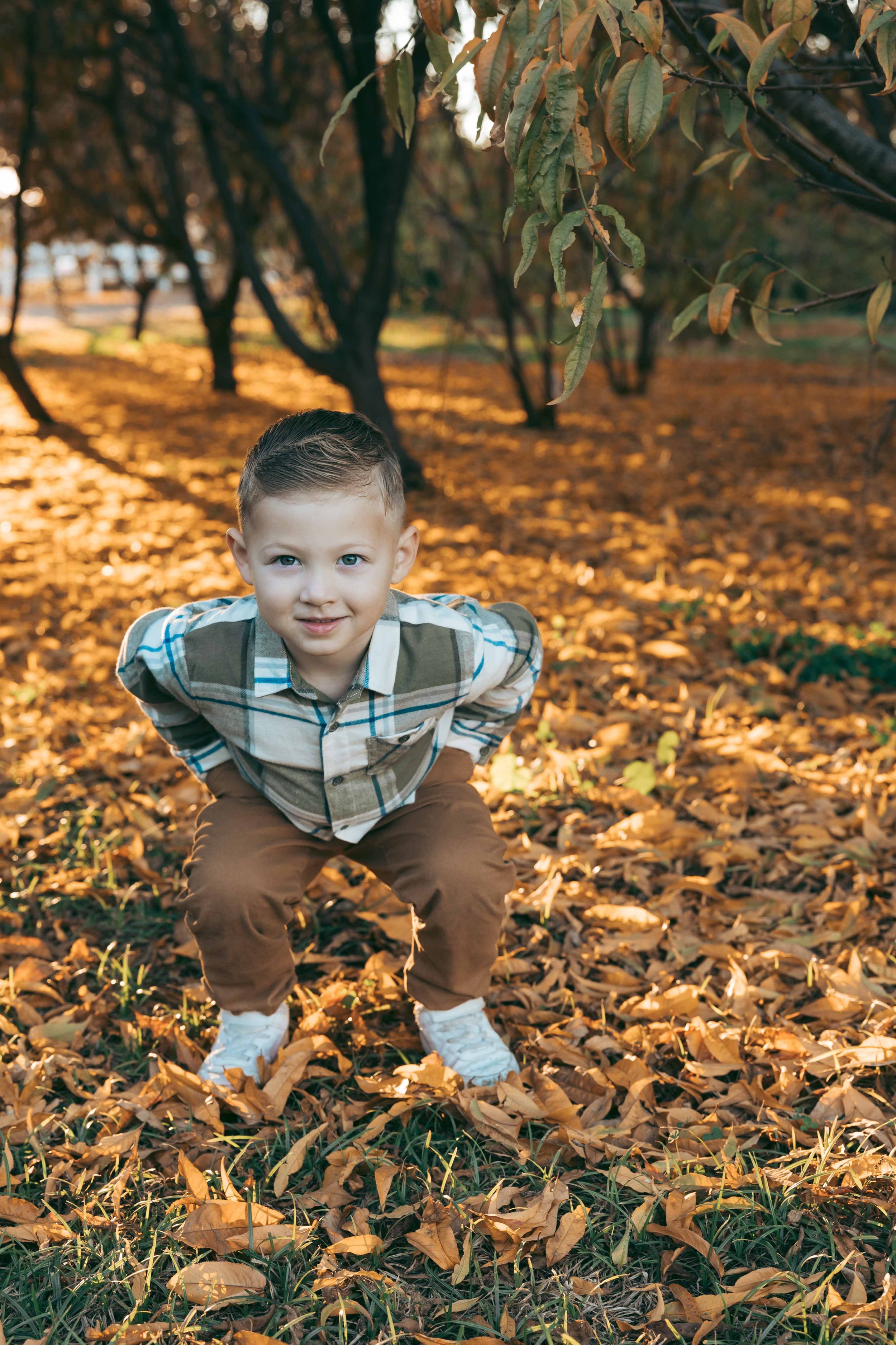 young boy in Gilbert with fall foliage standing in the orchard