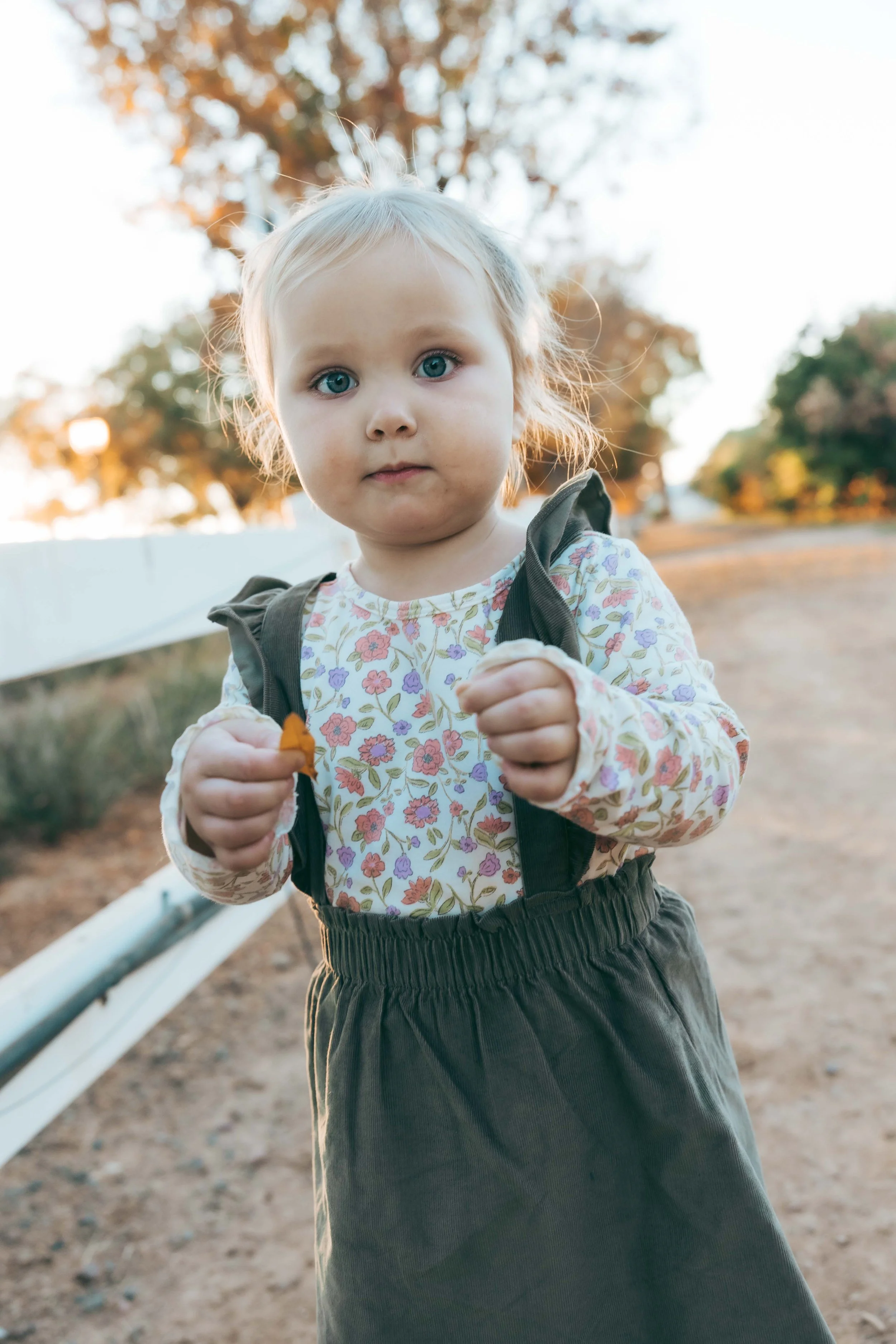 Little girl in Agritopia Orchard in Gilbert with golden hour light