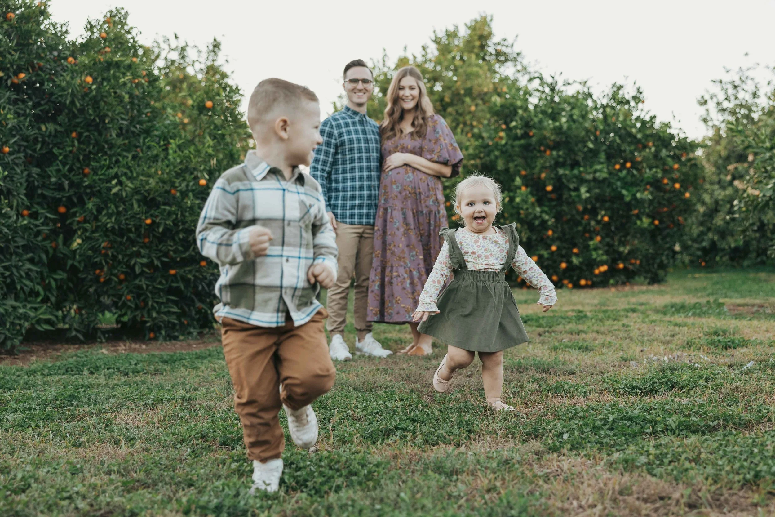 Toddler-focused family photos at Agritopia Orchard with warm sunset light and natural moments