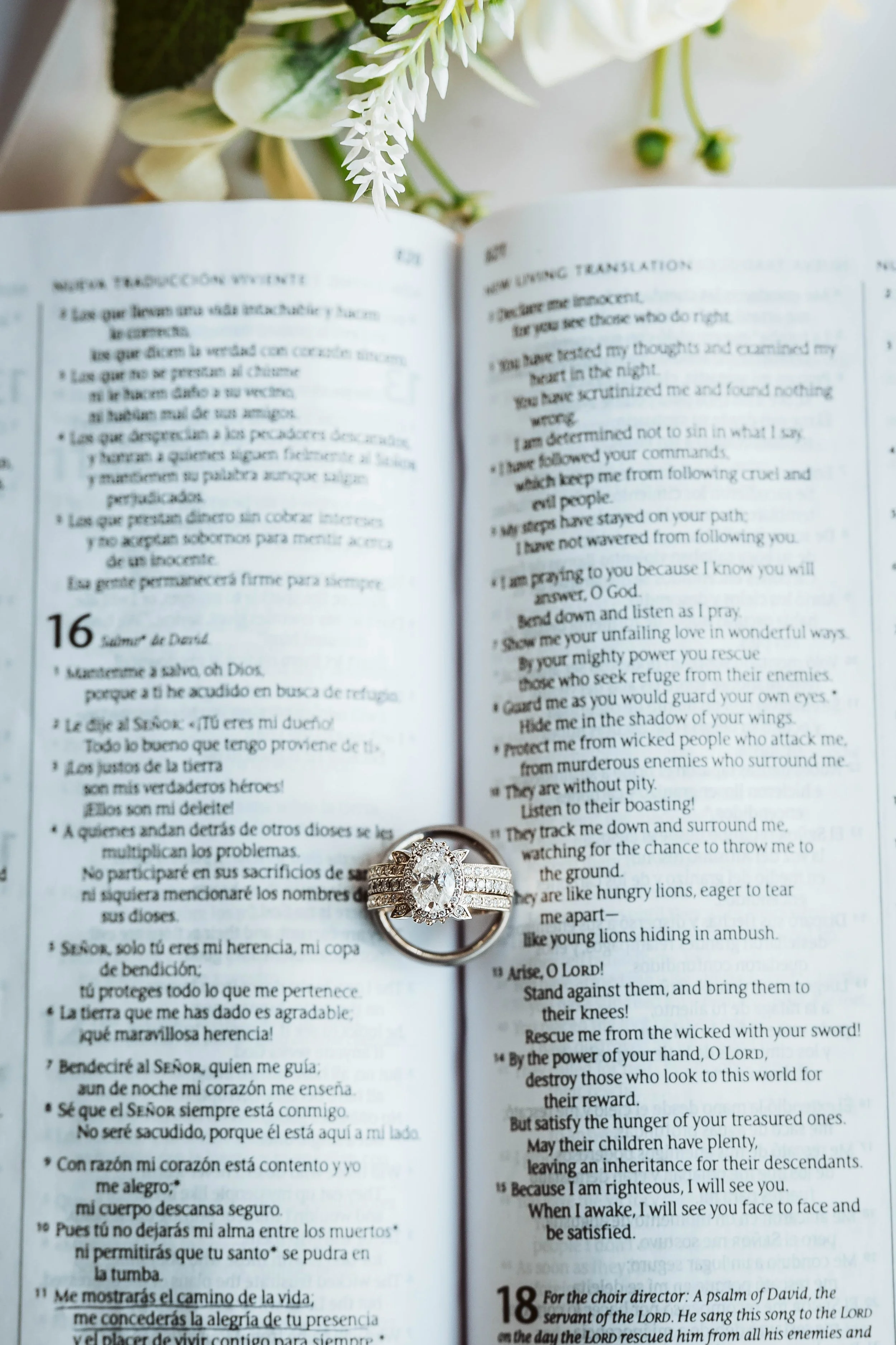 Wedding rings set in a Bible