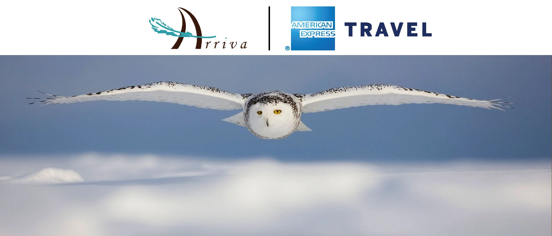 ARRIVA-HOME-PICTURE.jpg