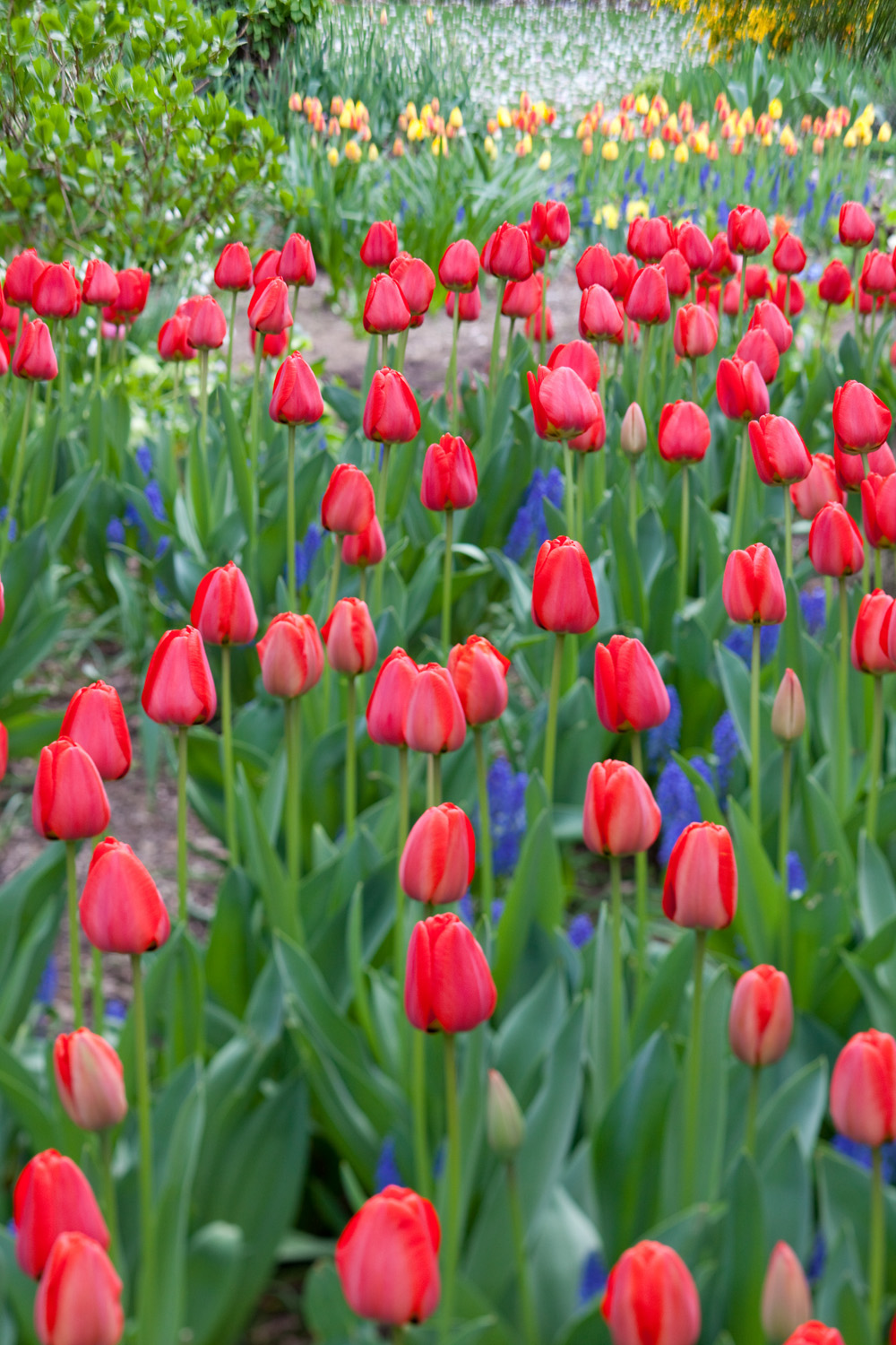 Jefferson Market Garden, New York NY