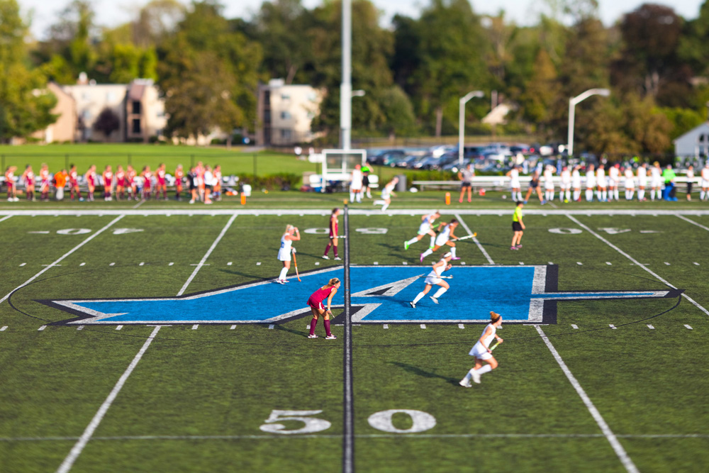 Assumption College, Worcester MA - Activitas