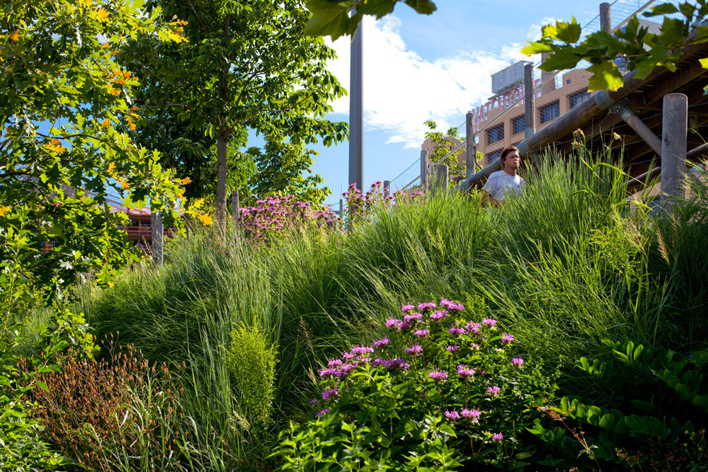 Brooklyn Bridge Park, Brooklyn NY