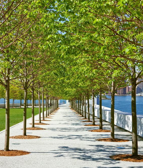 Four Freedoms Memorial, New York NY